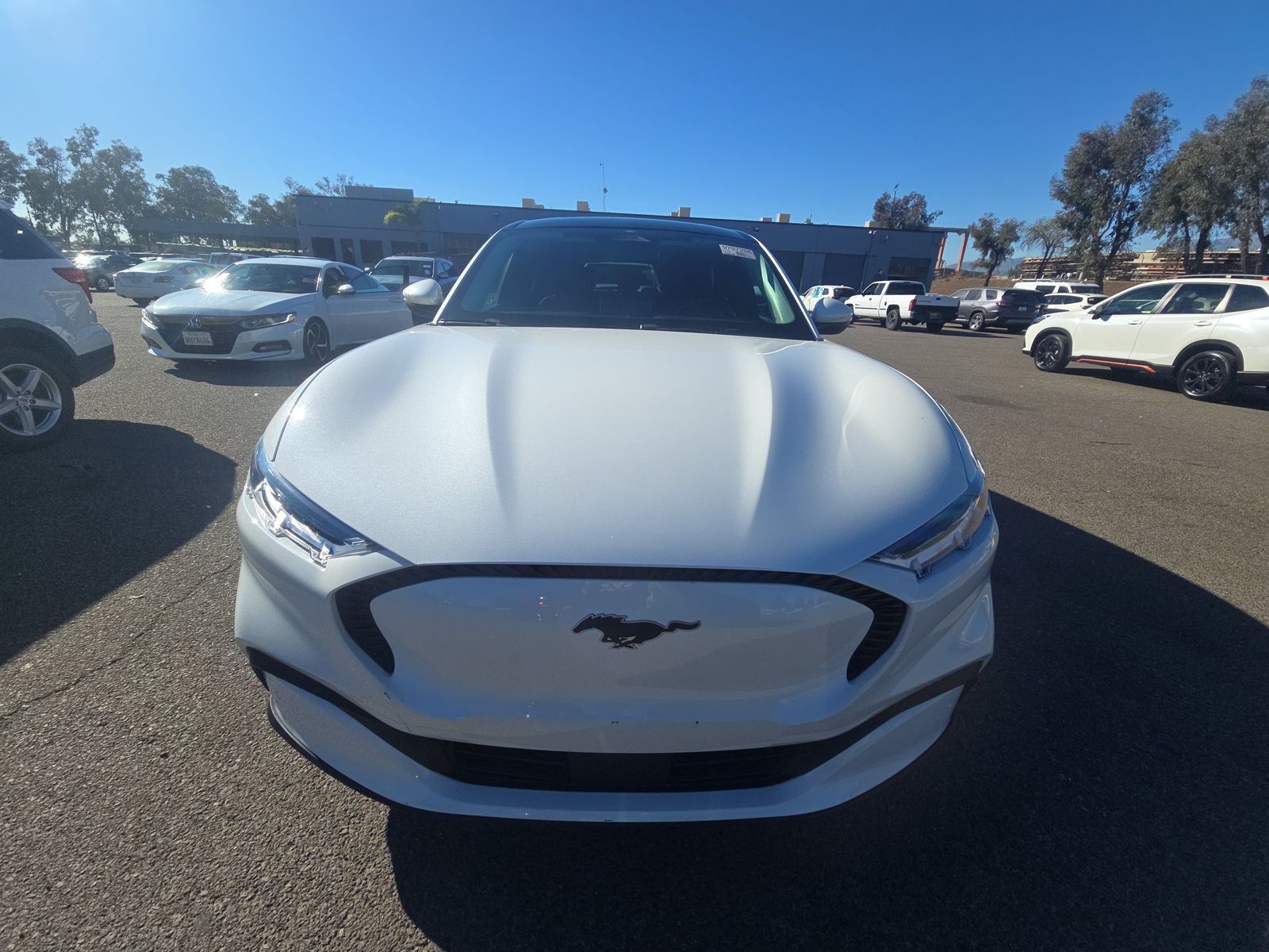 2021 Ford Mustang Mach-E Select RWD