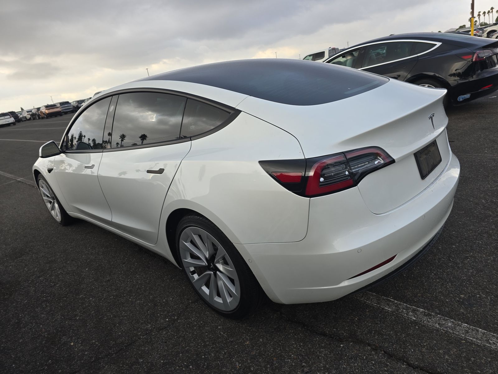 2021 Tesla Model 3 Standard Range Plus FWD