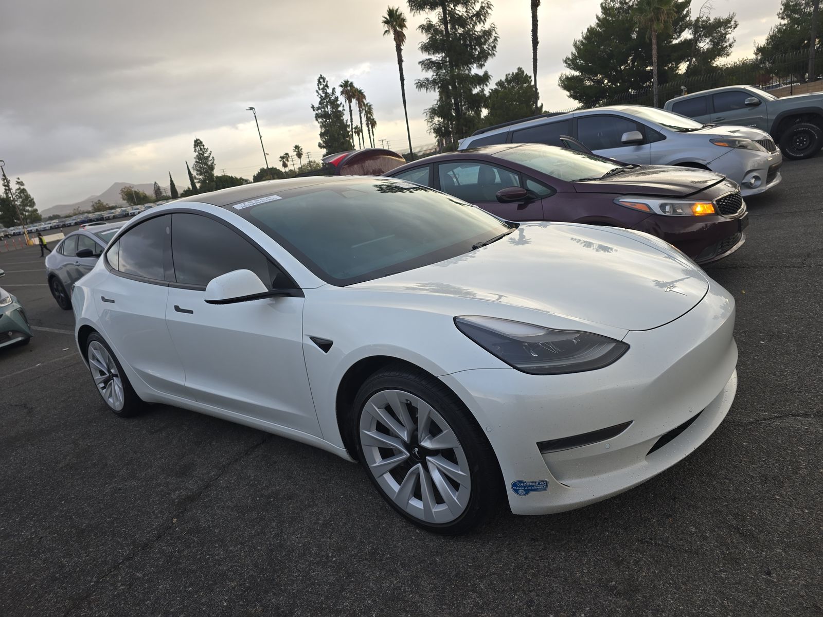 2021 Tesla Model 3 Standard Range Plus FWD