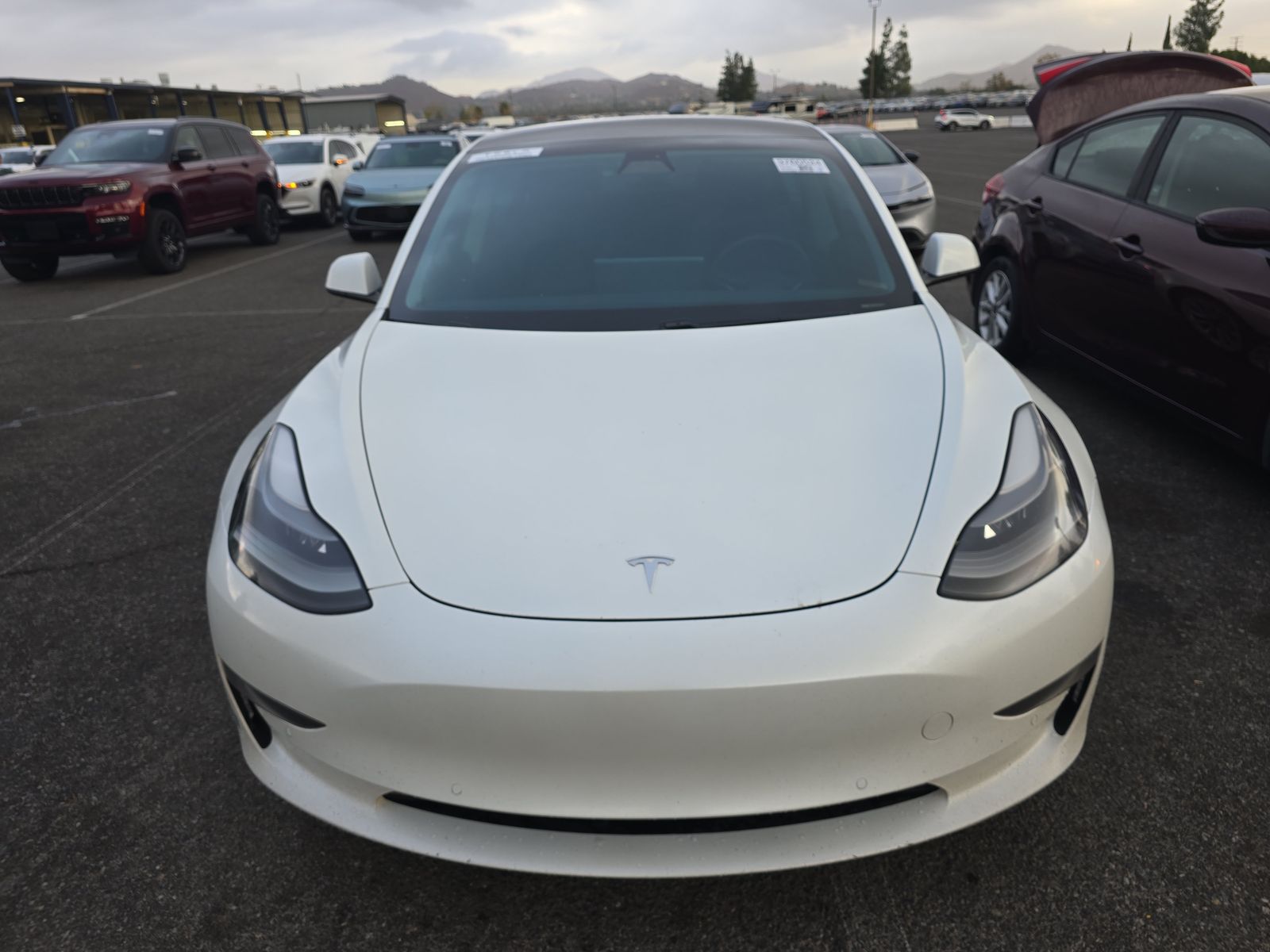 2021 Tesla Model 3 Standard Range Plus FWD