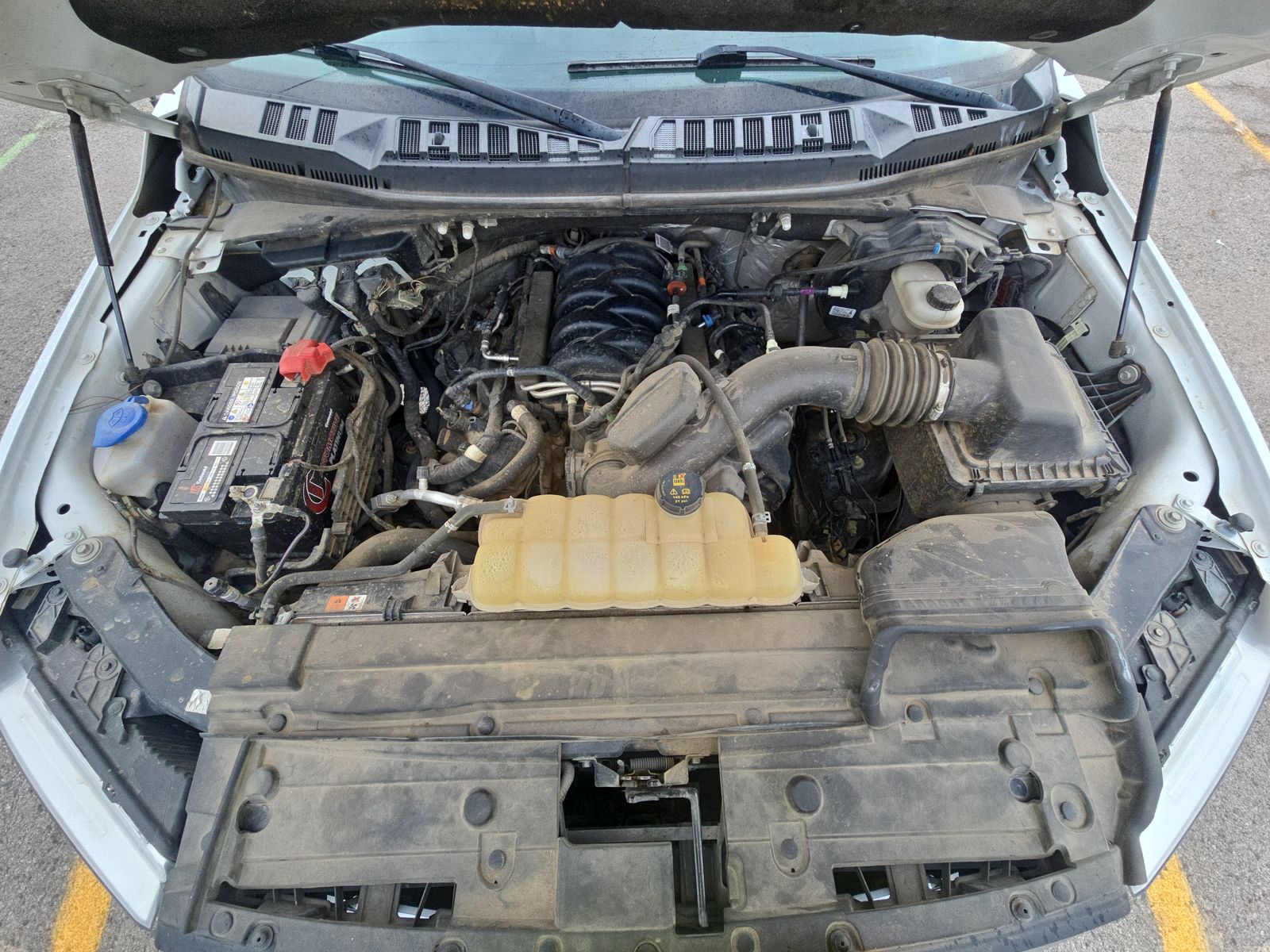 2019 Ford F-150 XLT AWD