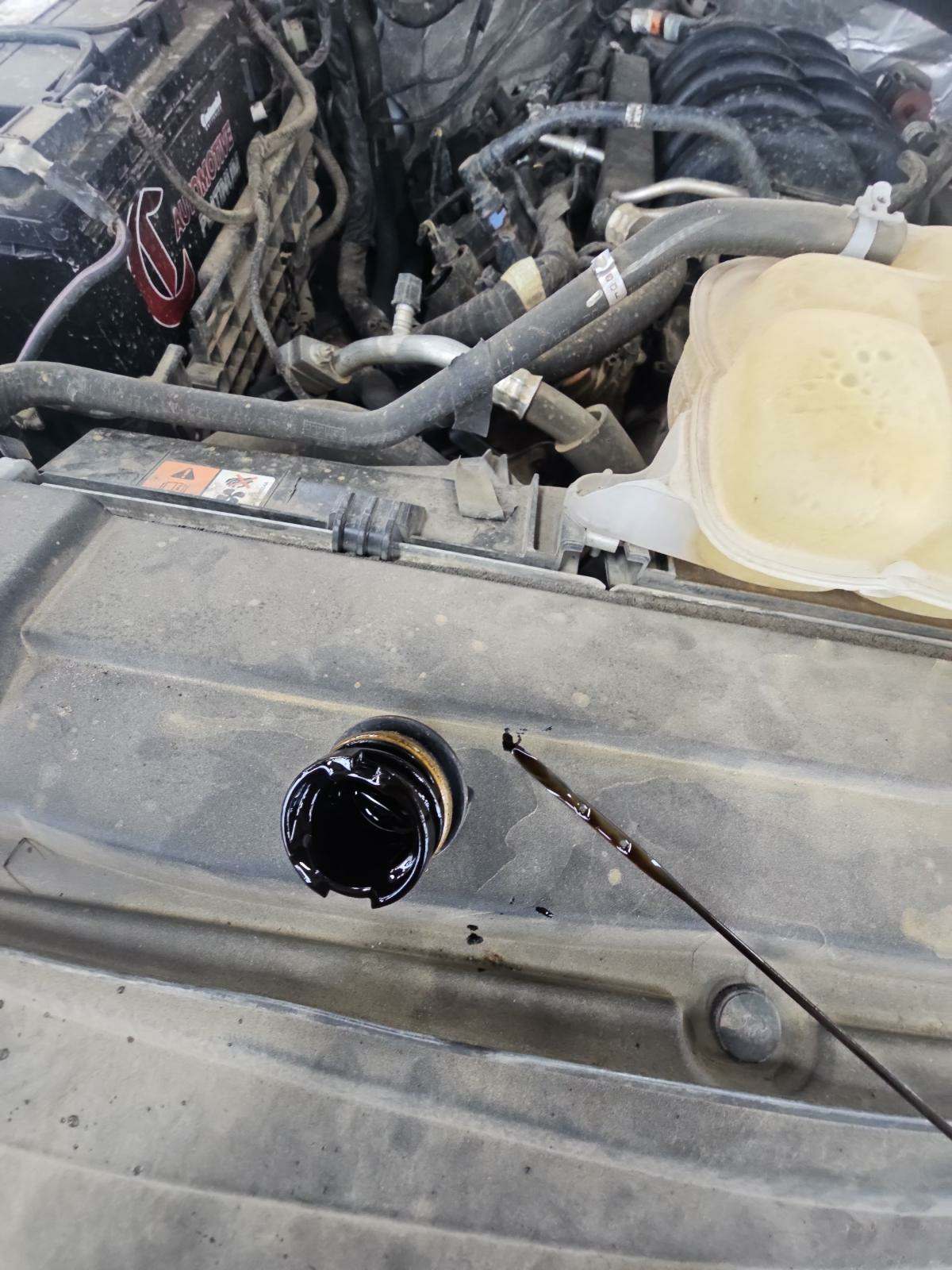 2019 Ford F-150 XLT AWD