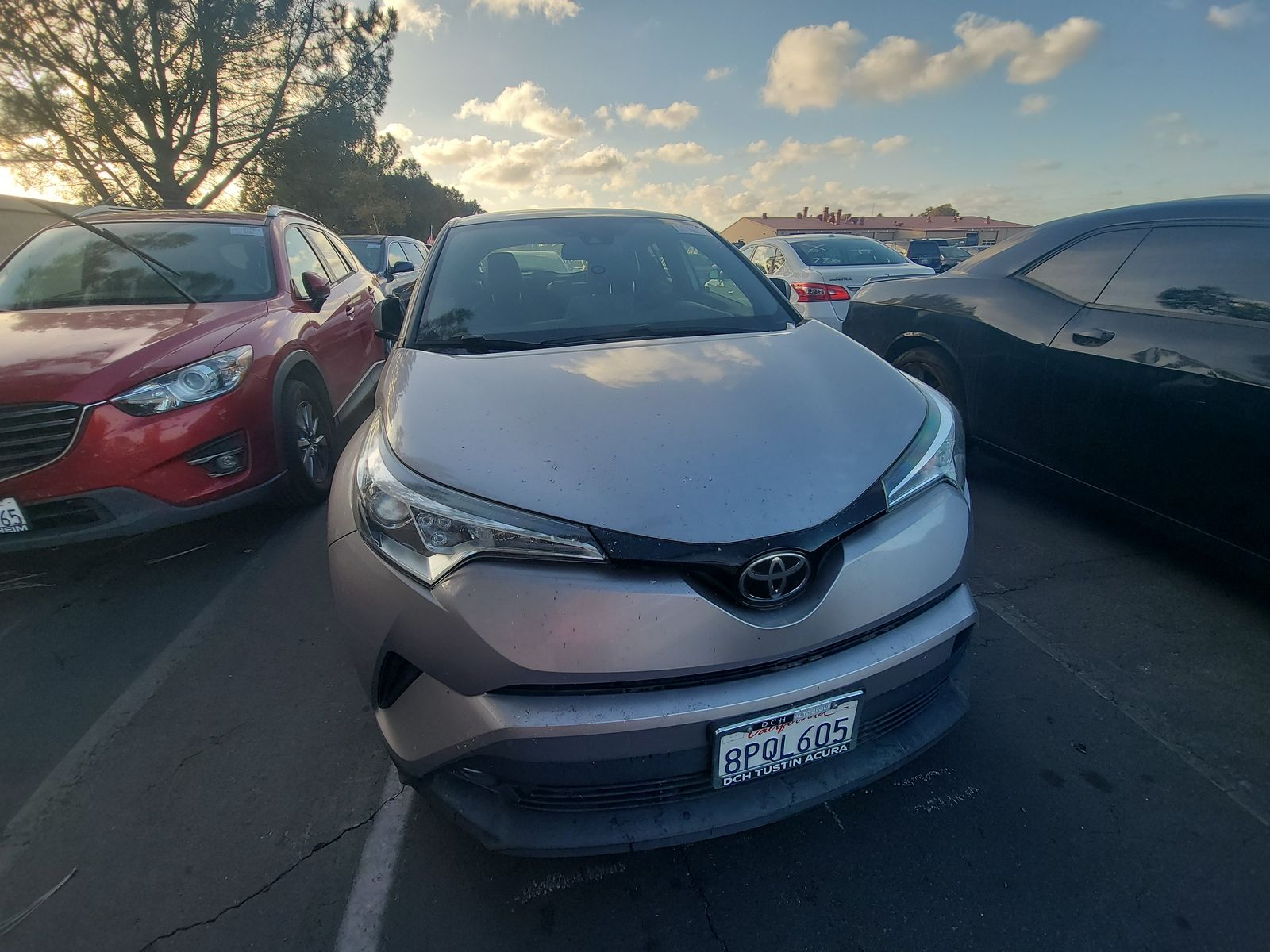 2019 Toyota C-HR Limited FWD