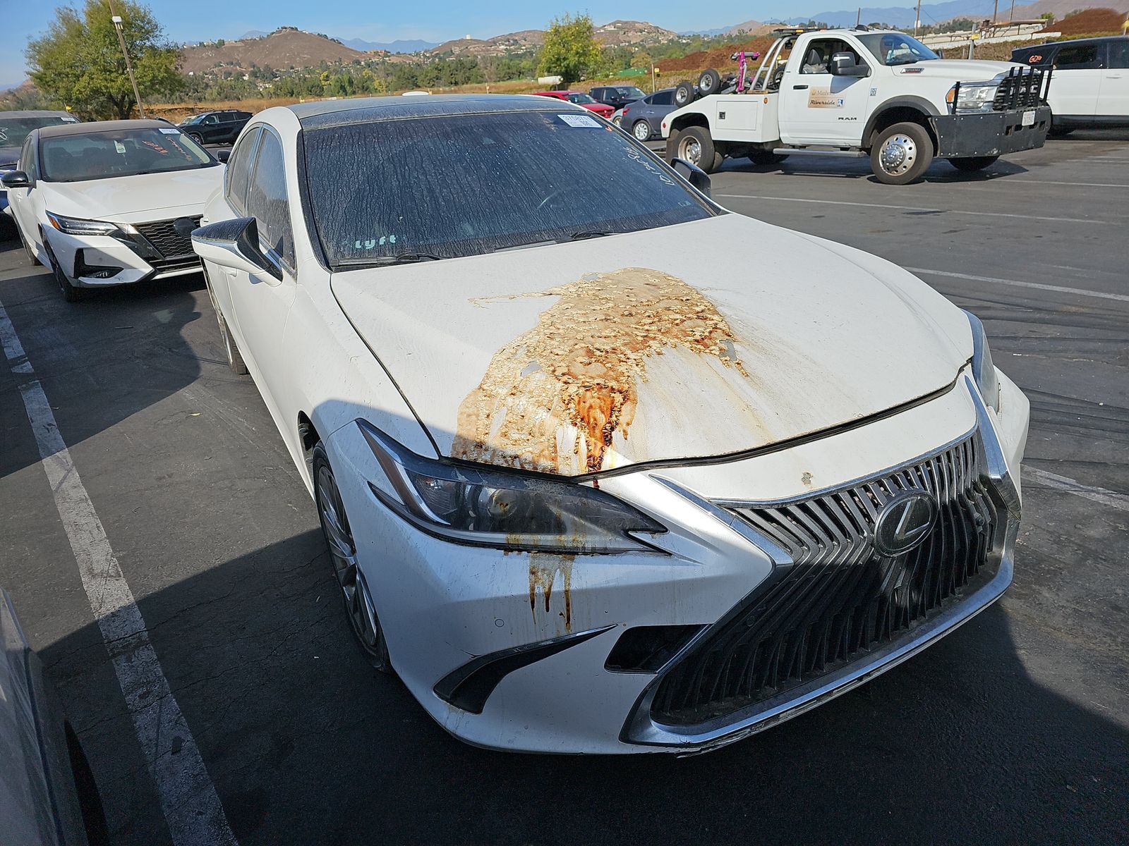 2019 Lexus ES ES 350 Luxury FWD