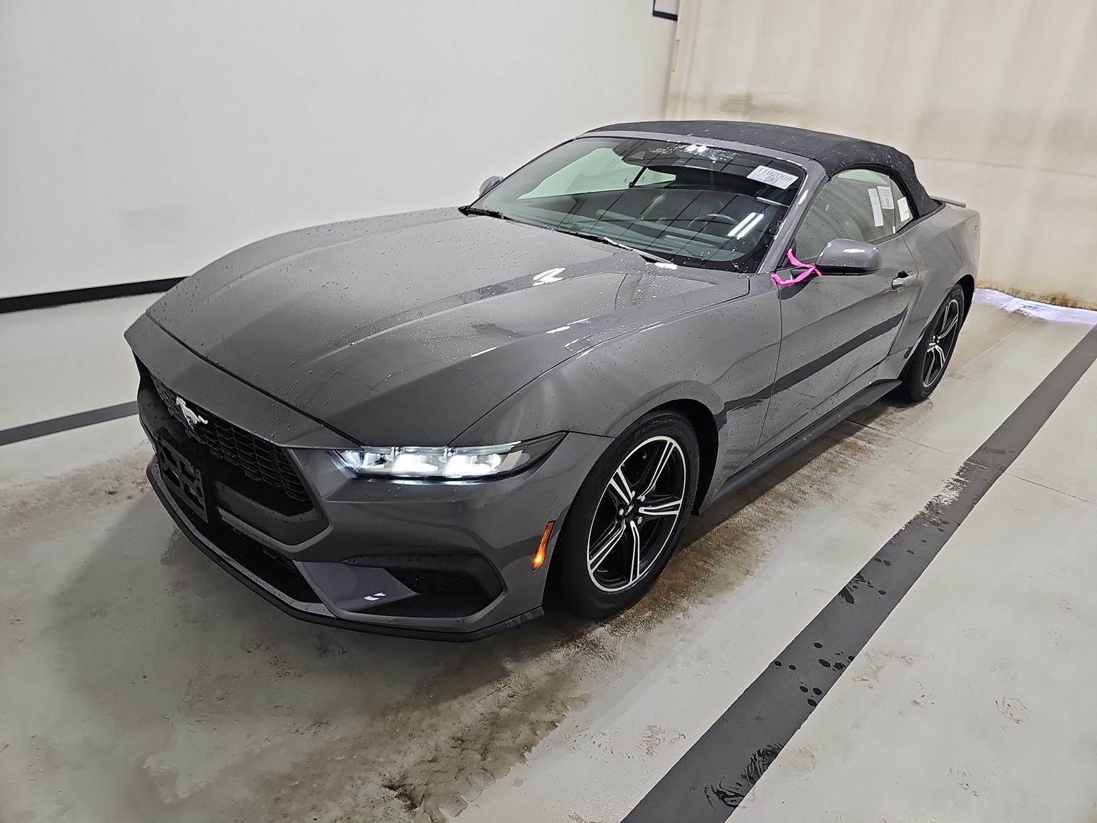 2024 Ford Mustang EcoBoost Premium