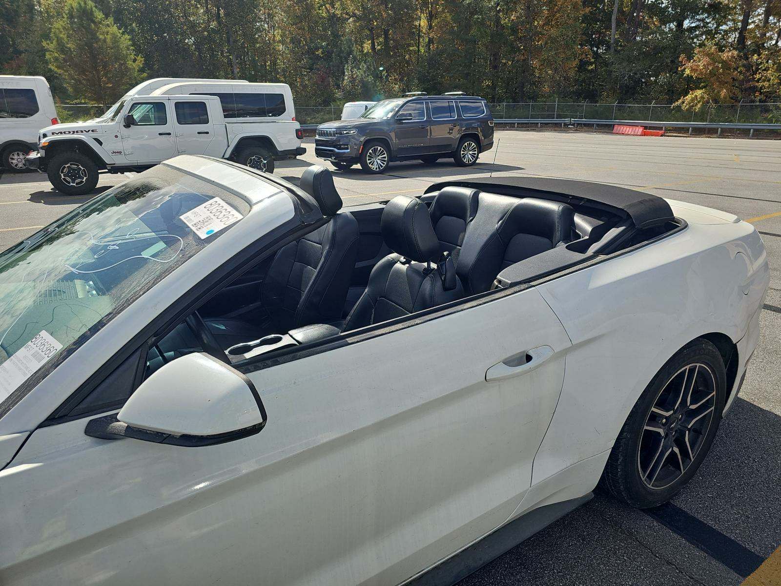 2019 Ford Mustang EcoBoost Premium RWD