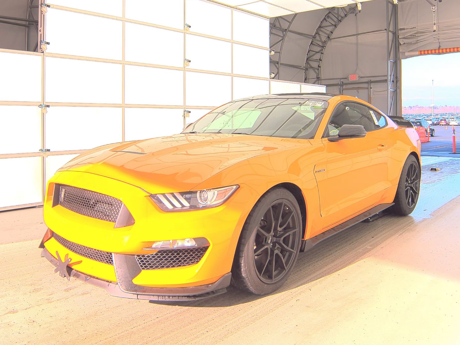 2019 Ford Mustang Shelby GT350