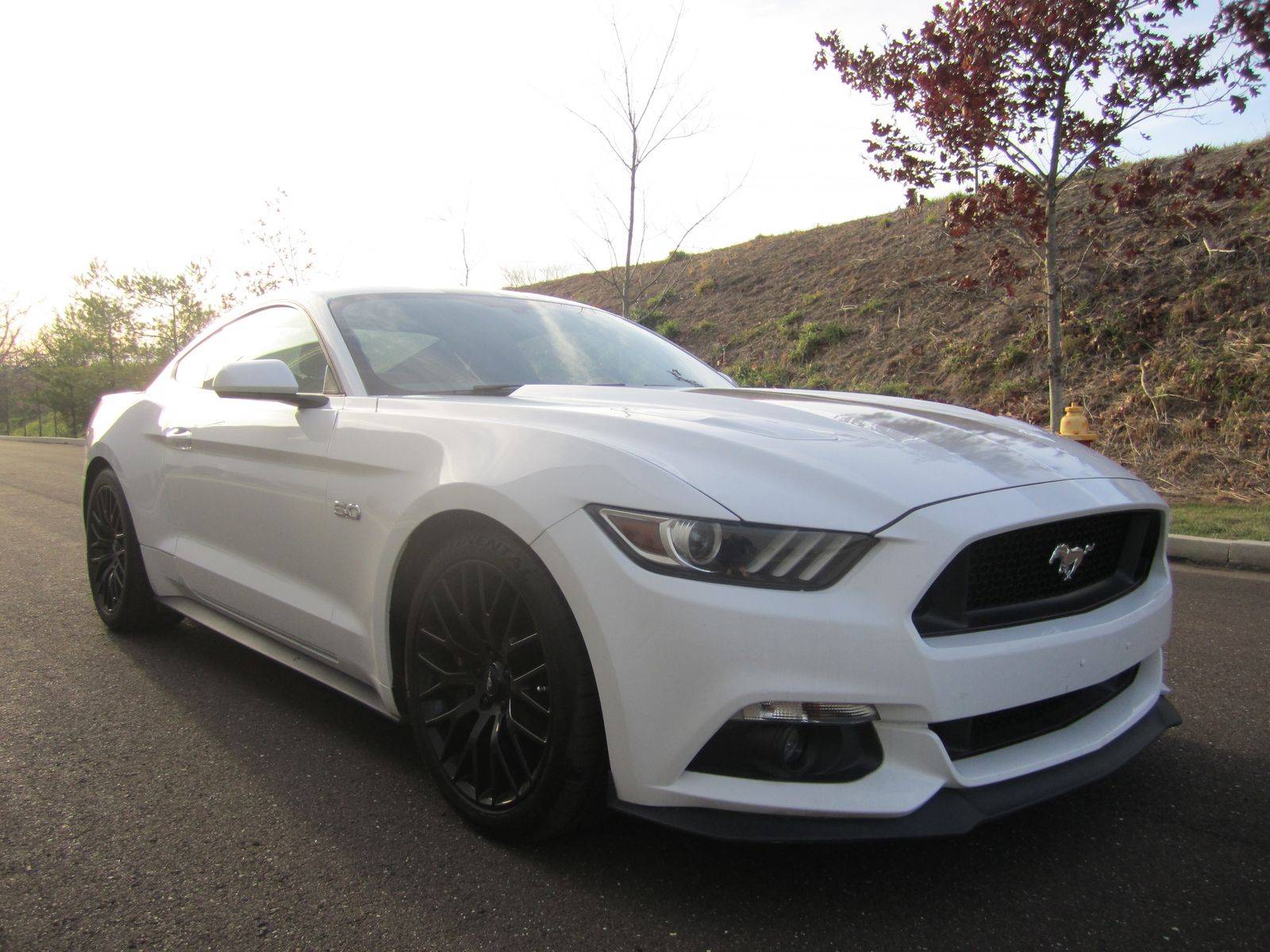 2017 Ford Mustang GT Coupe