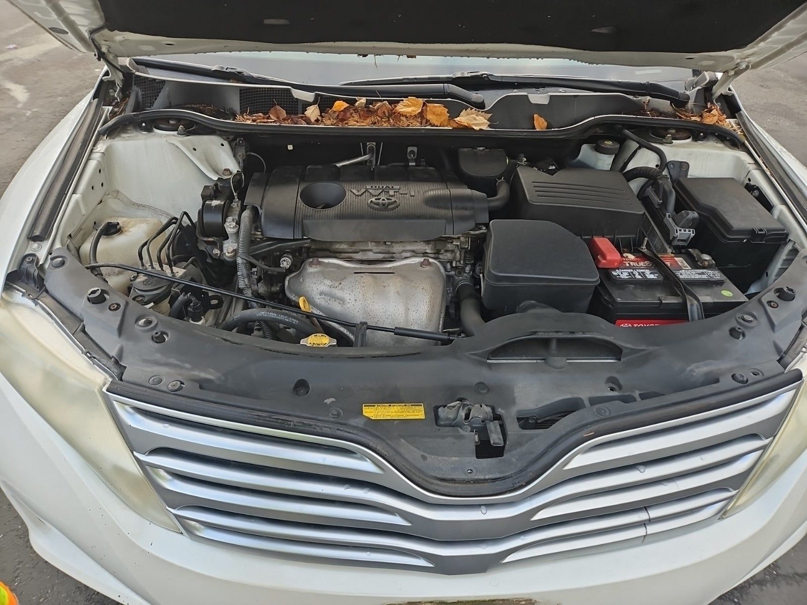 2010 Toyota Venza Base FWD