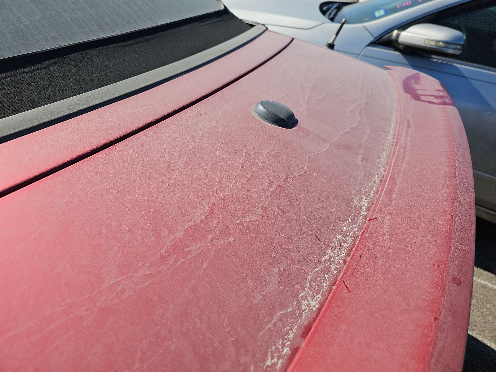 2012 Ford Mustang V6 Premium RWD