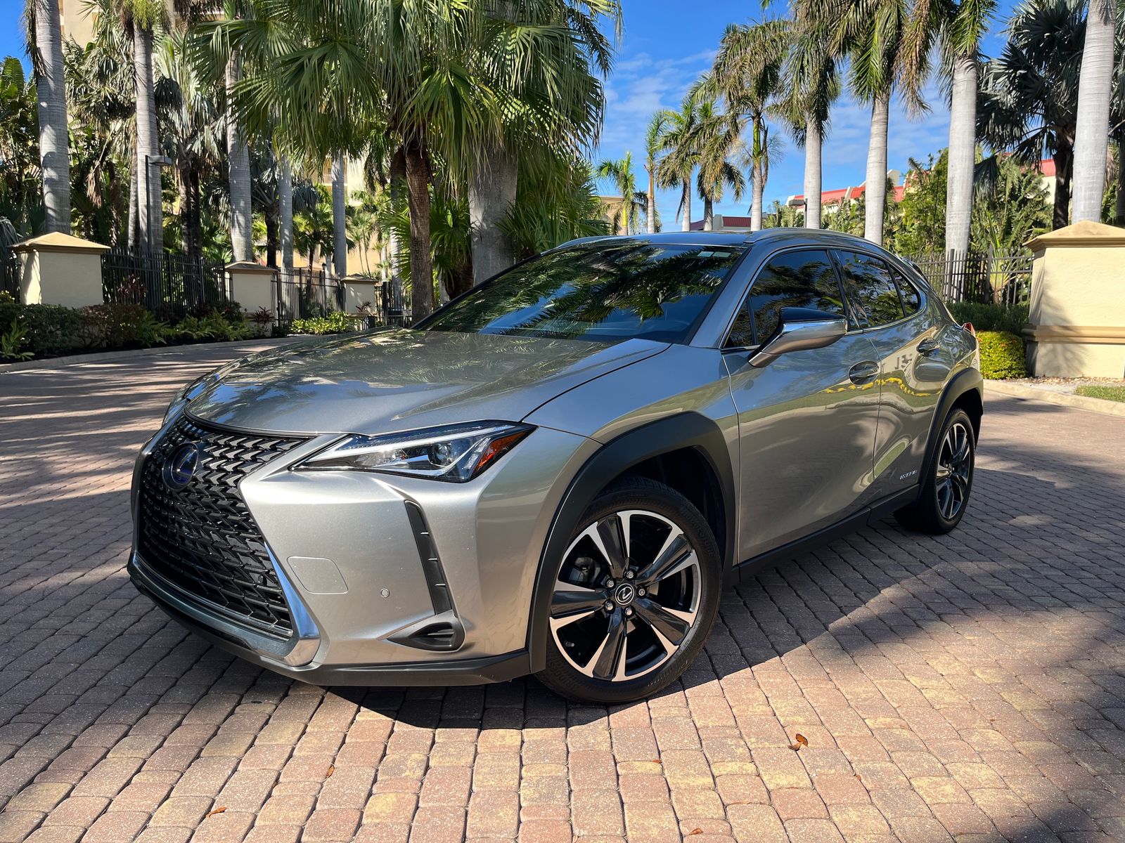 2021 Lexus UX 250h