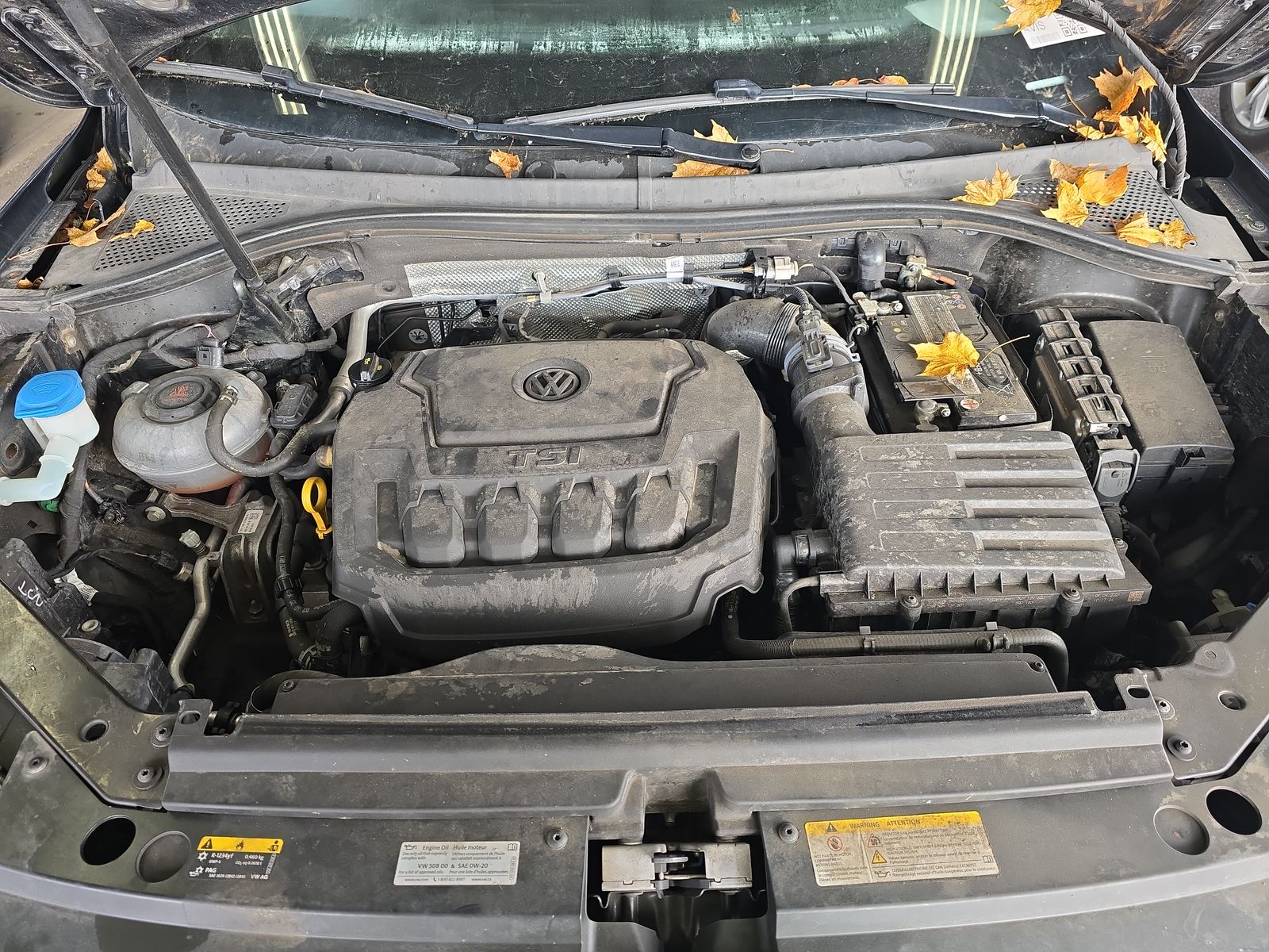 2021 Volkswagen Tiguan 2.0T S FWD