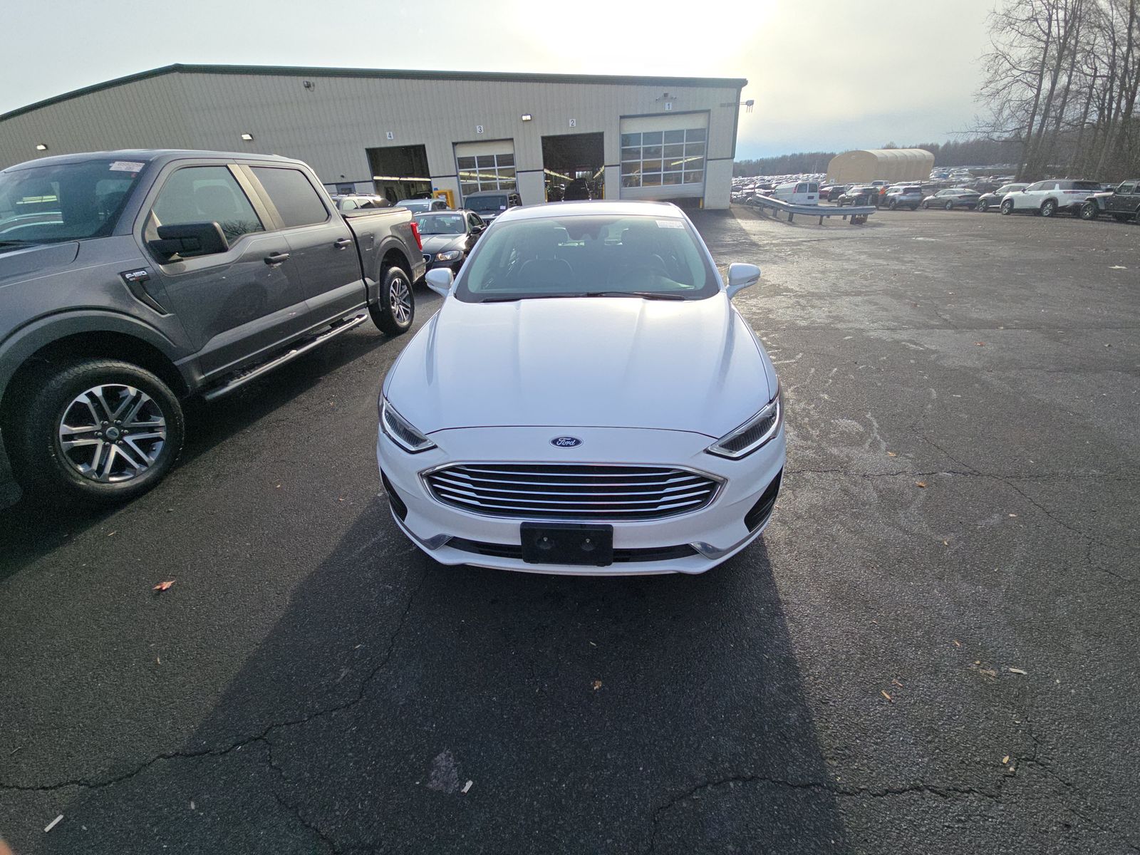2020 Ford Fusion Hybrid SEL FWD