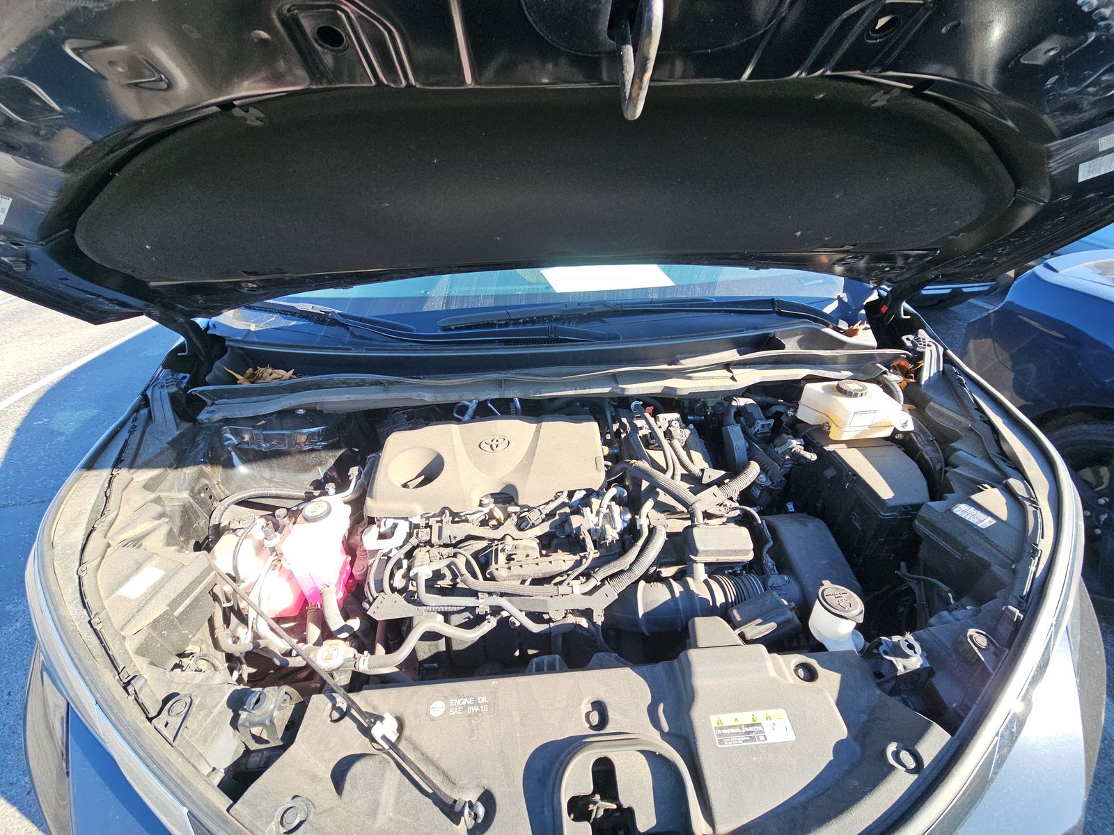 2022 Toyota Sienna LE FWD