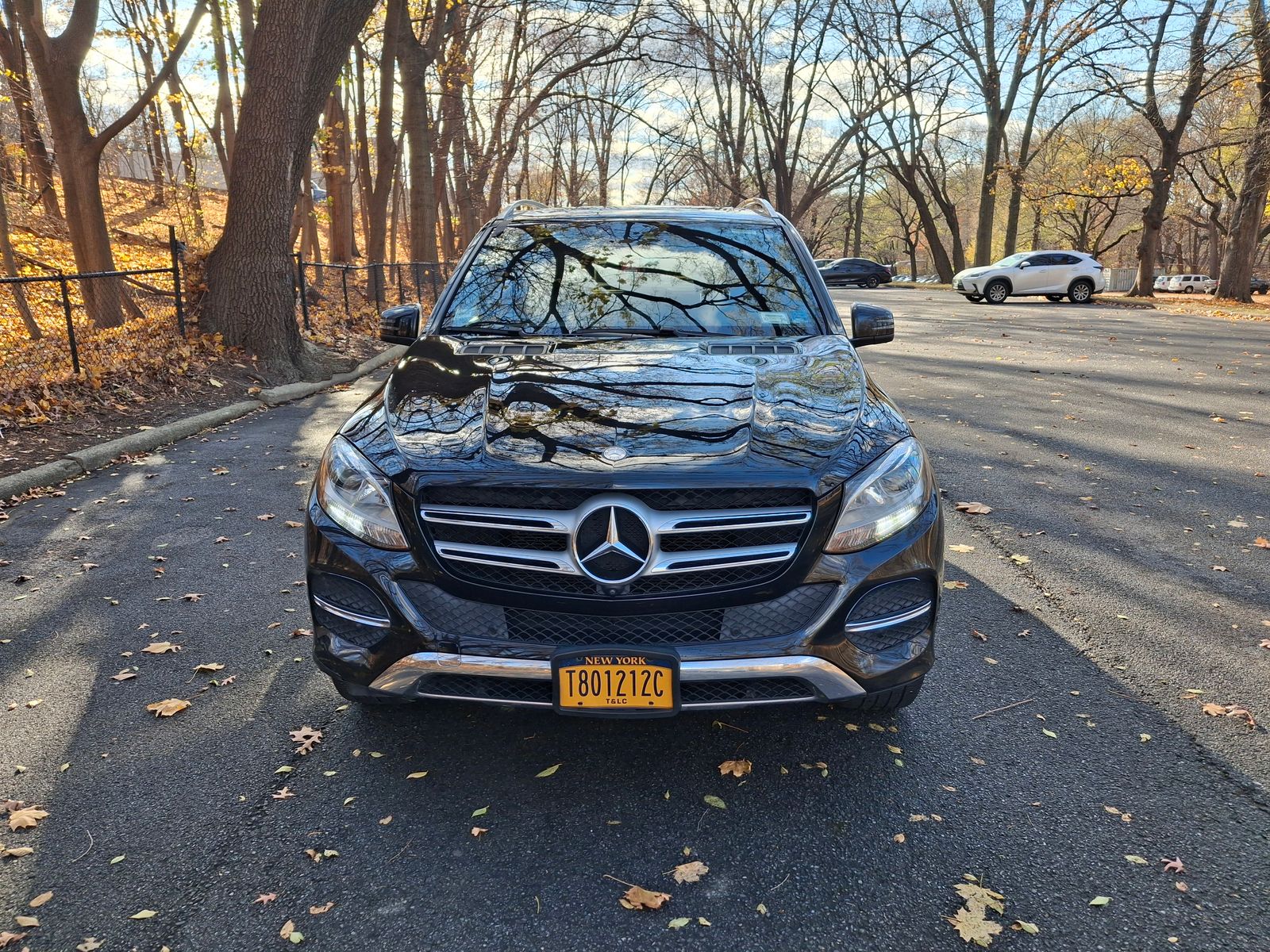 2017 Mercedes-Benz GLE 350