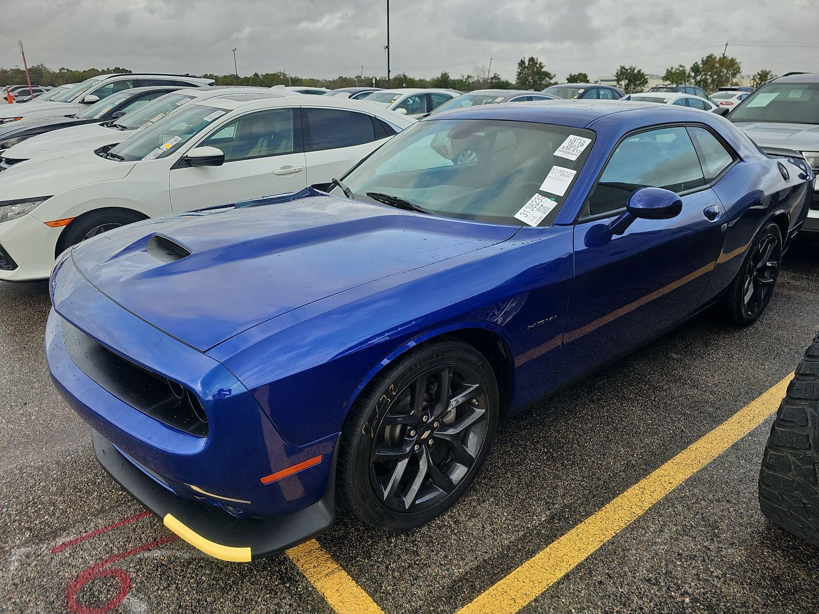 2022 Dodge Challenger R/T
