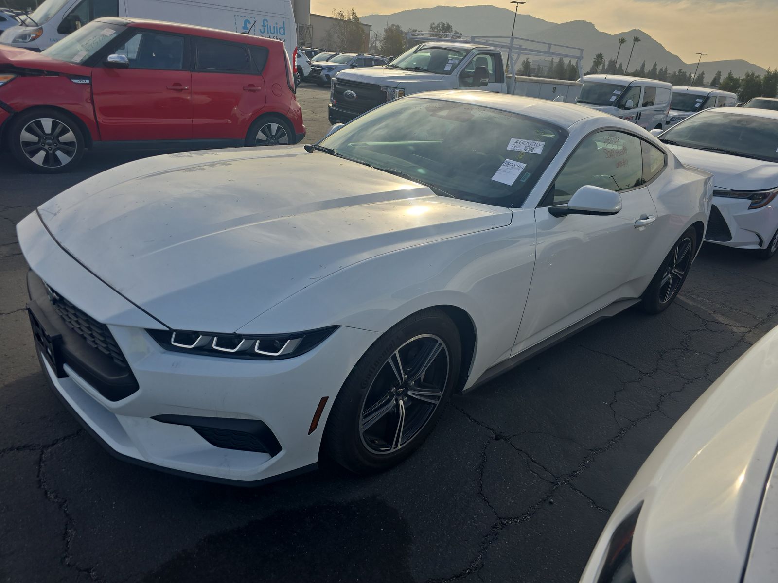 2024 Ford Mustang EcoBoost Coupe