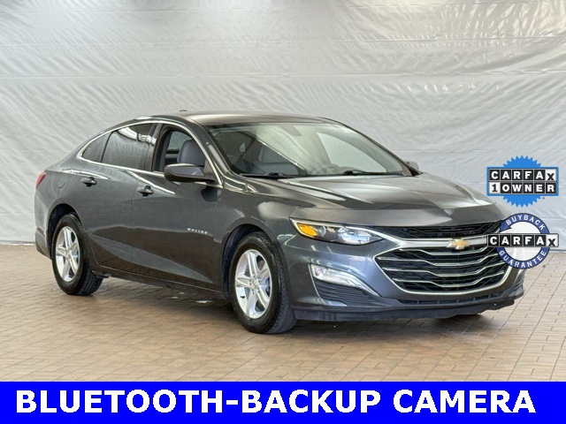 2019 Chevrolet Malibu LS 1FL