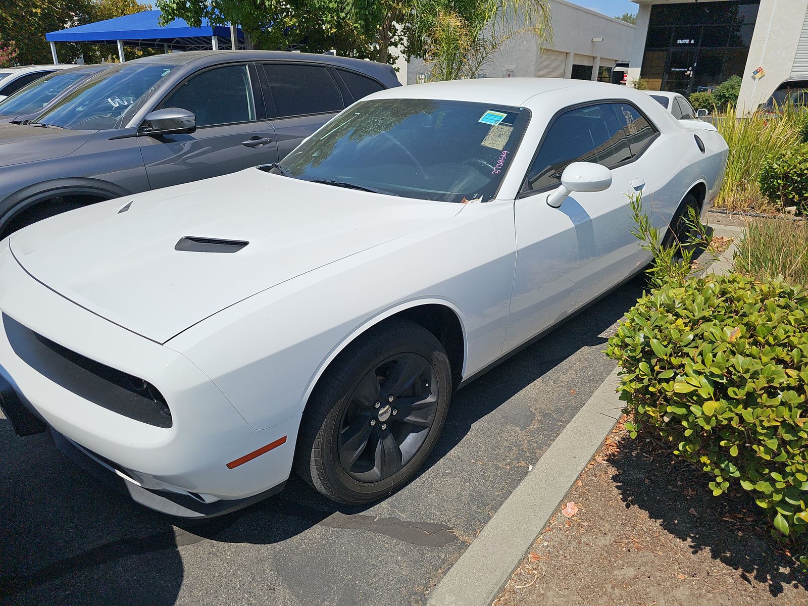 2019 Dodge Challenger SXT