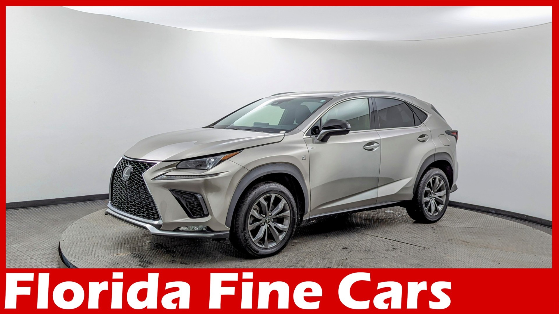 2020 Lexus NX 300 F SPORT