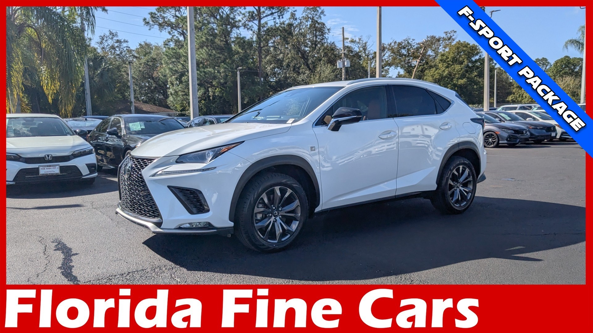 2021 Lexus NX 300 F SPORT