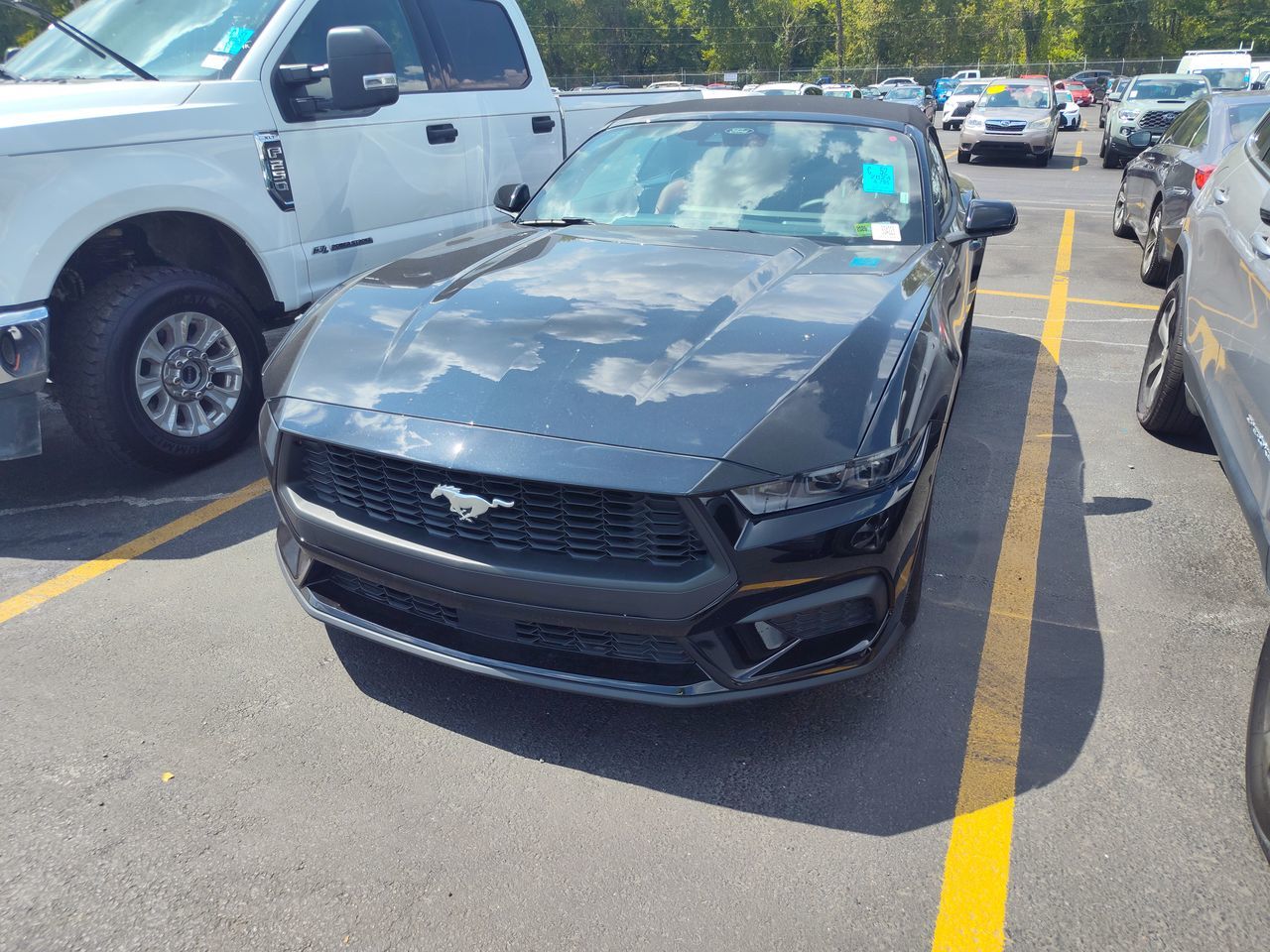2024 Ford Mustang EcoBoost Premium Convertible