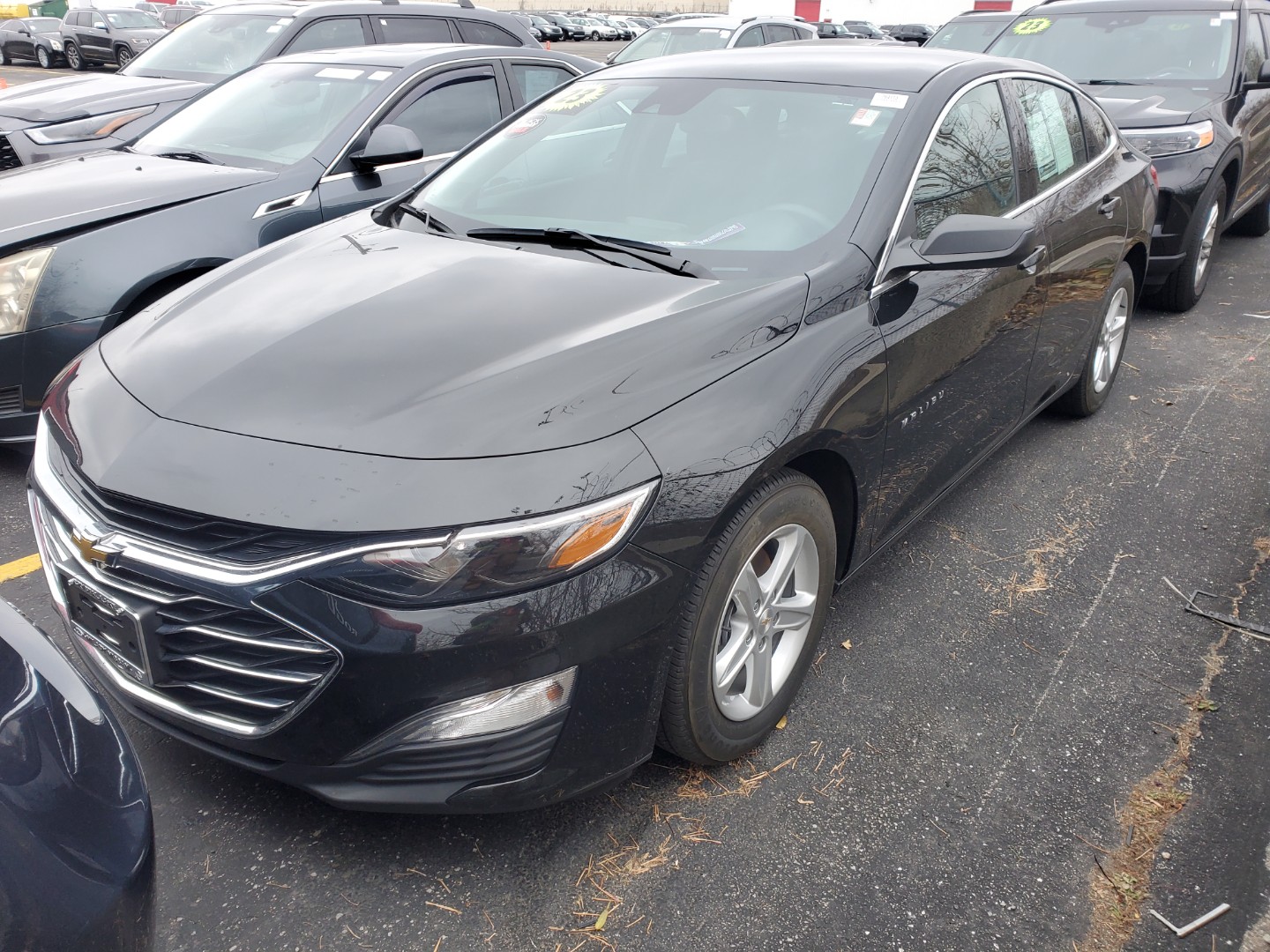 2023 Chevrolet Malibu LS 1LS