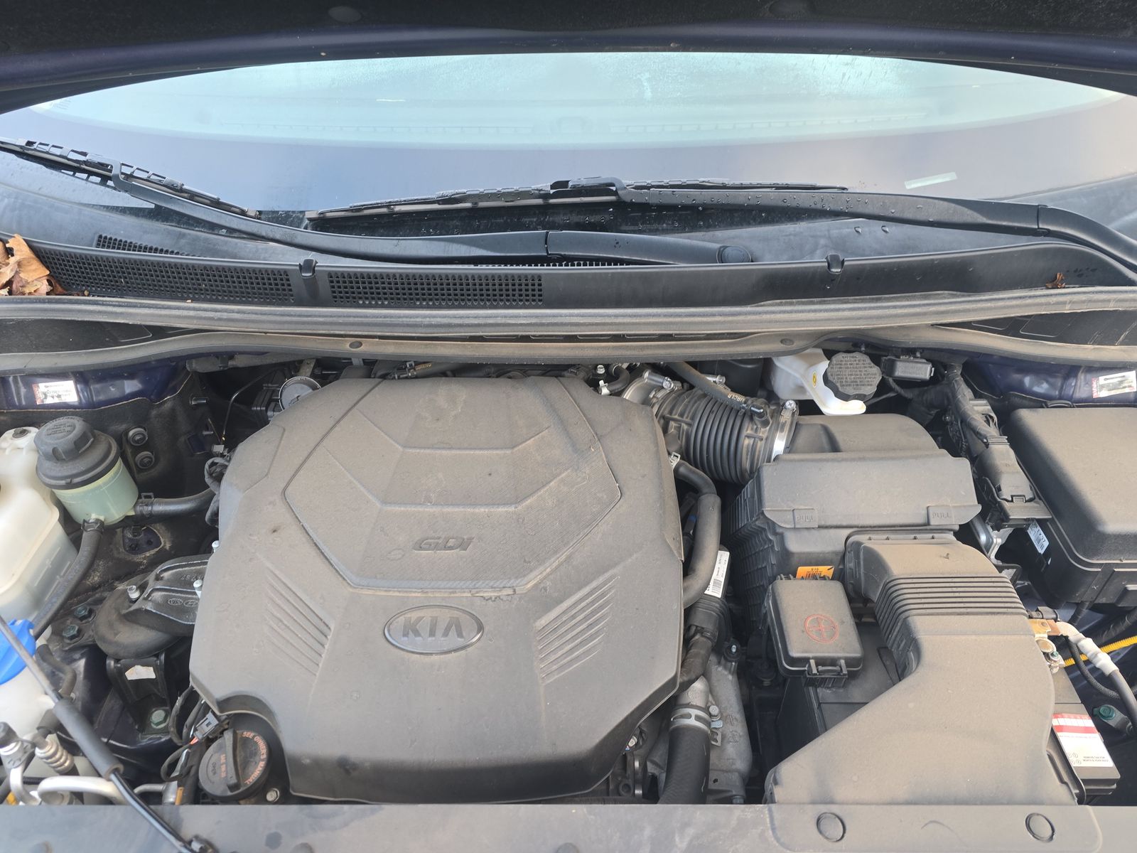 2019 Kia Sedona LX FWD