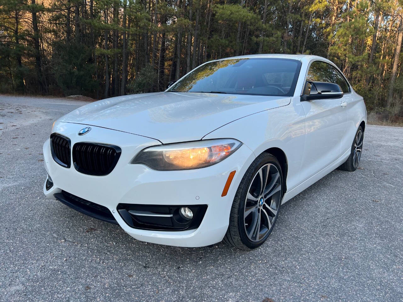 2016 BMW 2 Series Coupe 228i SPORT LINE