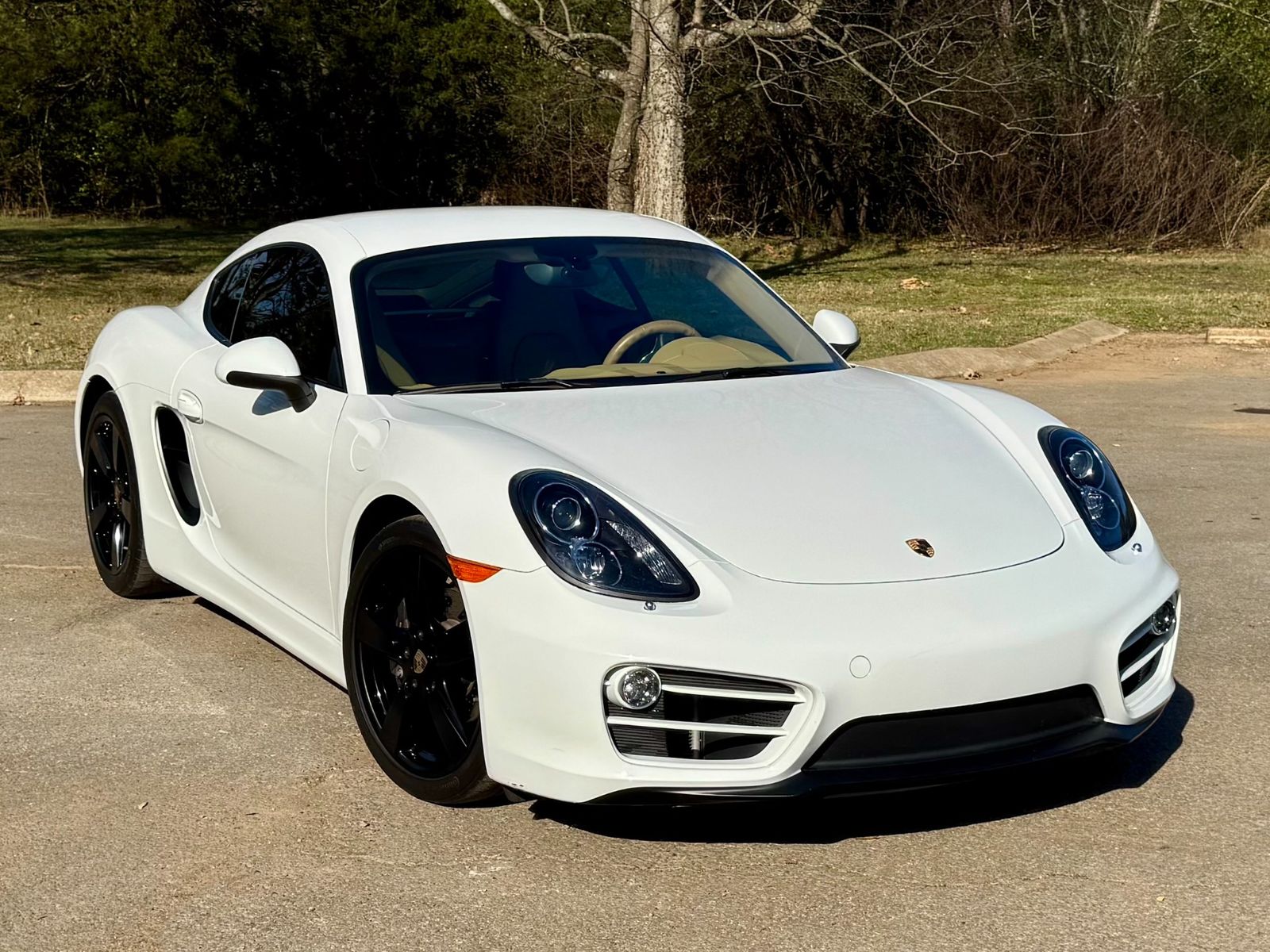 2014 Porsche Cayman