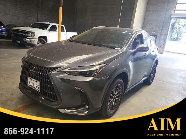 2024 Lexus NX 250