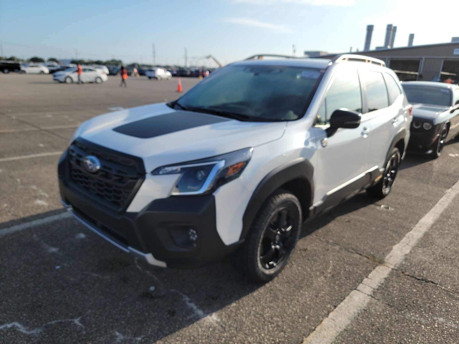 2024 Subaru Forester Wilderness