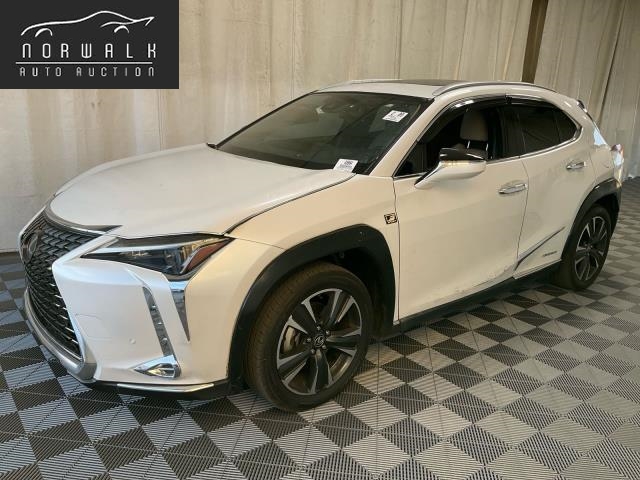 2024 Lexus UX 250h