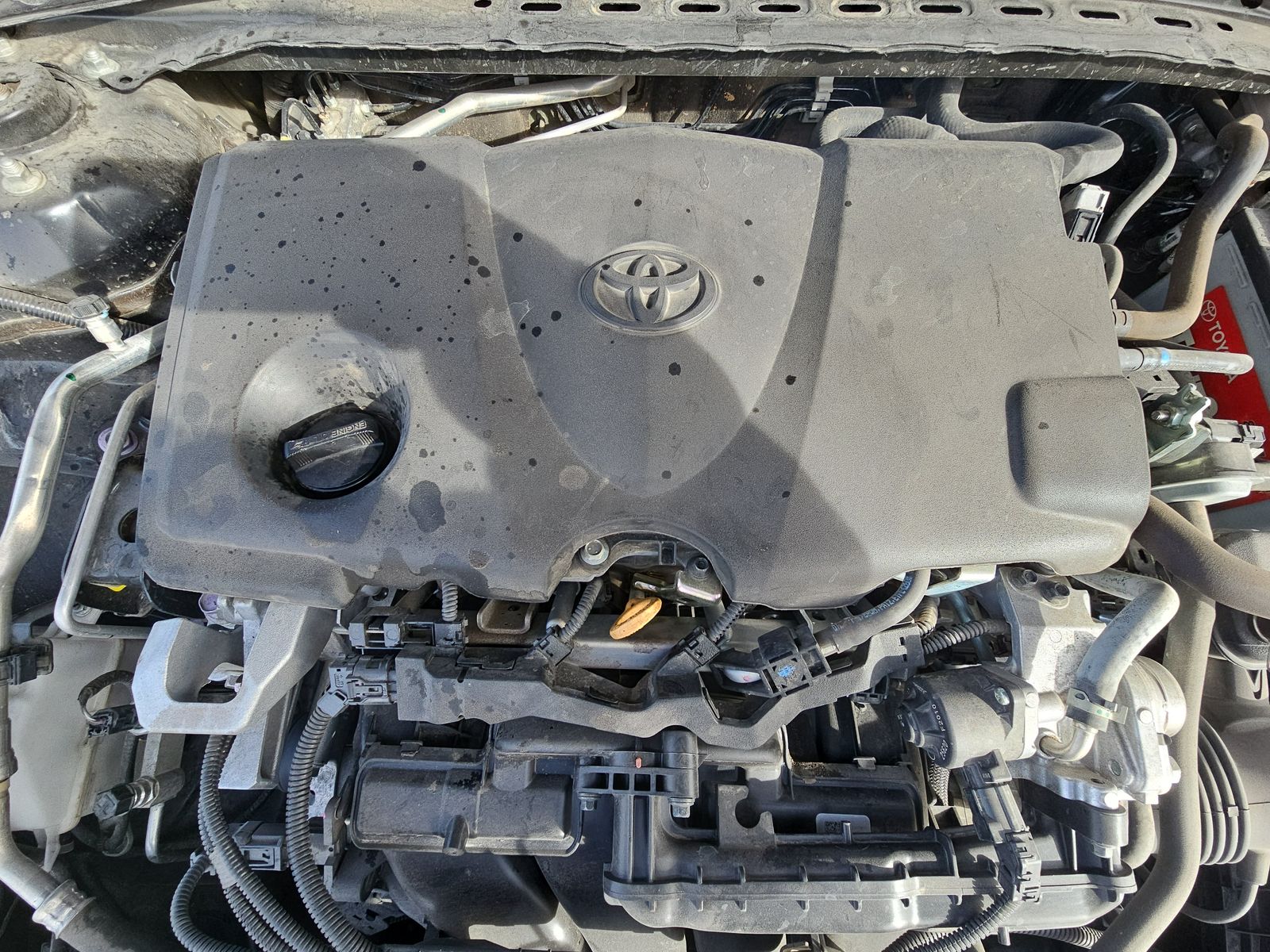 2022 Toyota Camry SE FWD