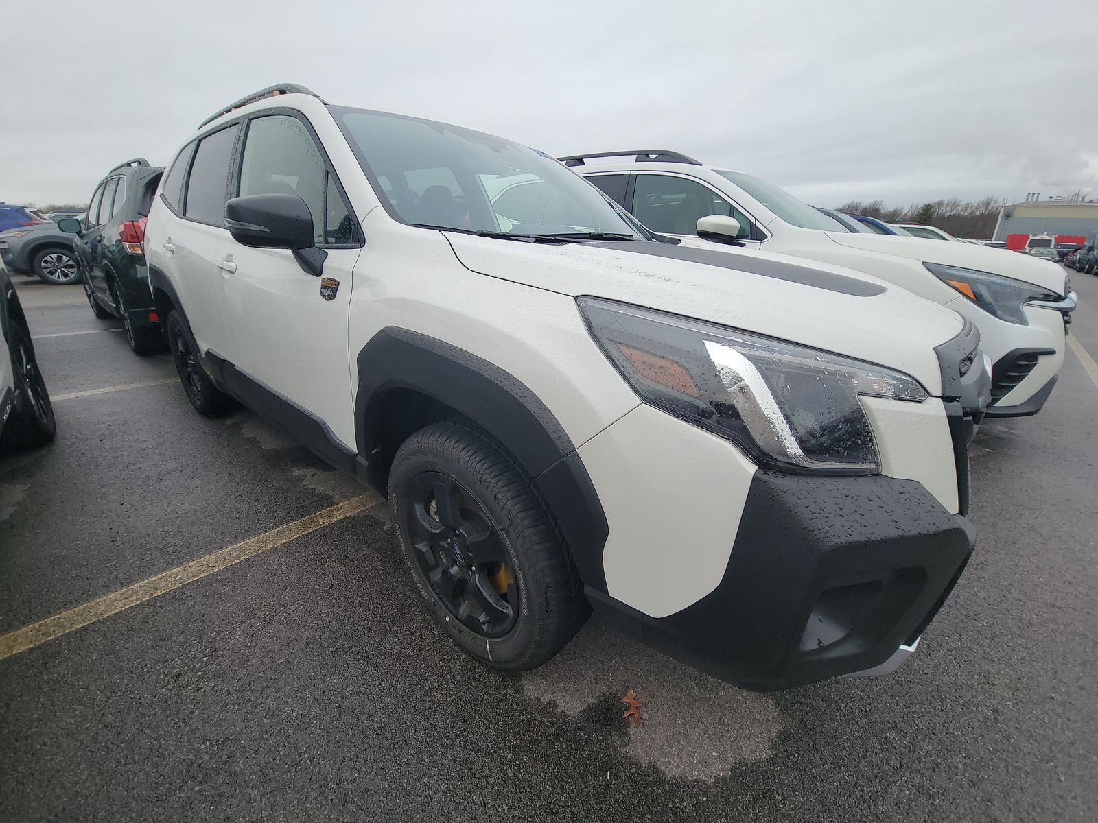 2024 Subaru Forester Wilderness AWD
