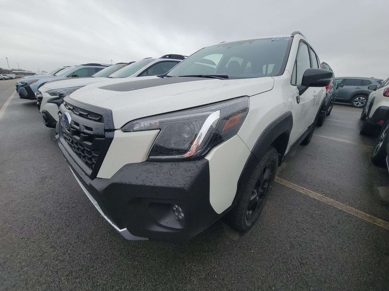 2024 Subaru Forester Wilderness AWD