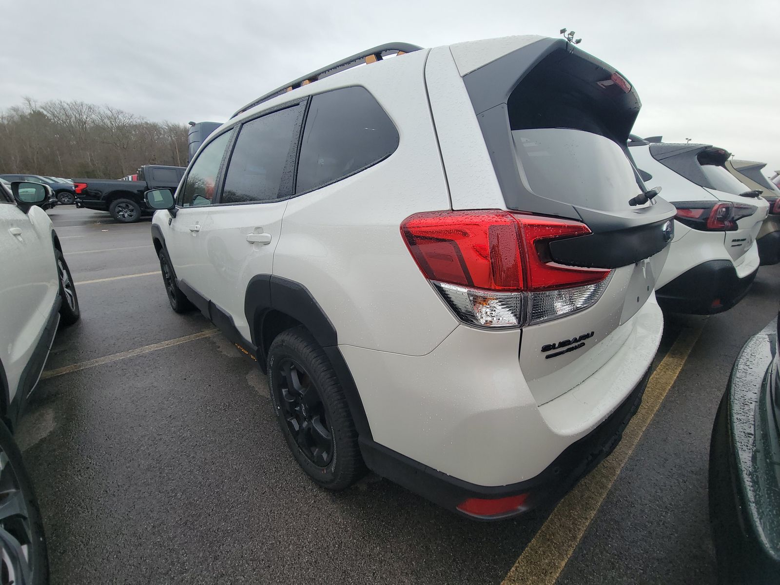 2024 Subaru Forester Wilderness AWD