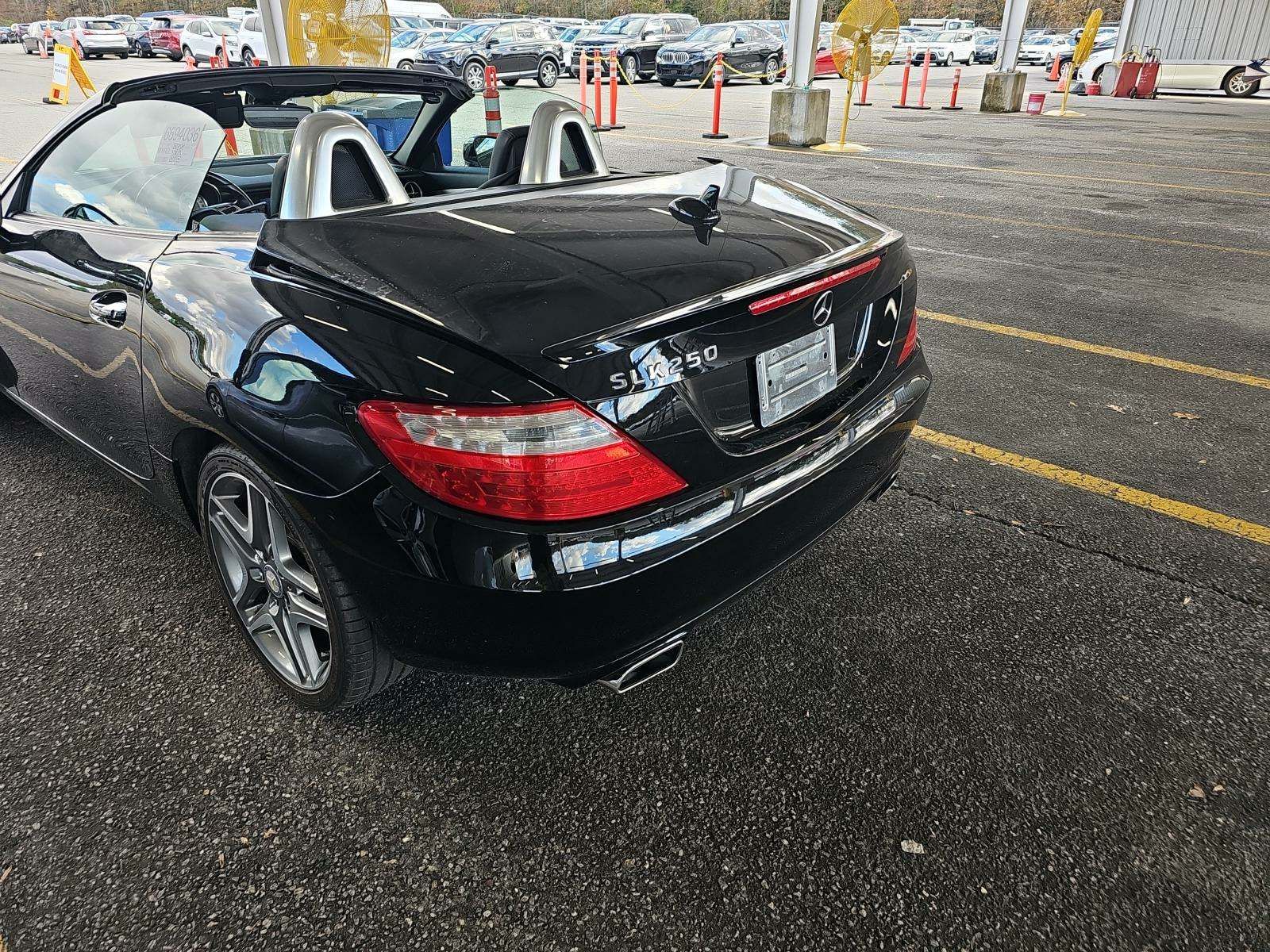 2013 Mercedes-Benz SLK-Class SLK 250 RWD
