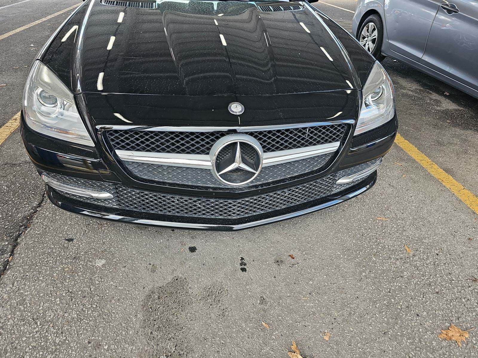 2013 Mercedes-Benz SLK-Class SLK 250 RWD