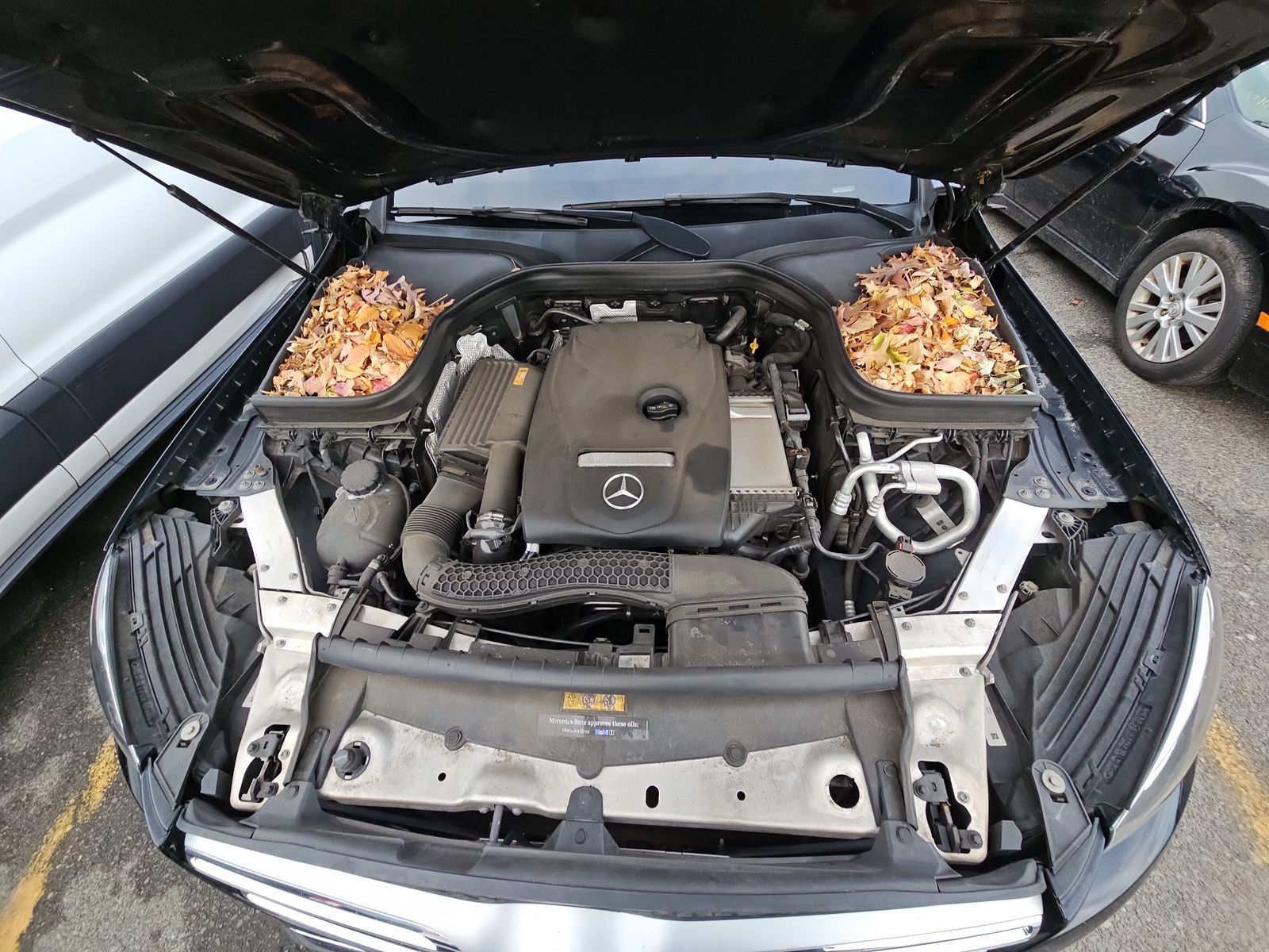 2019 Mercedes-Benz GLC GLC 300 AWD