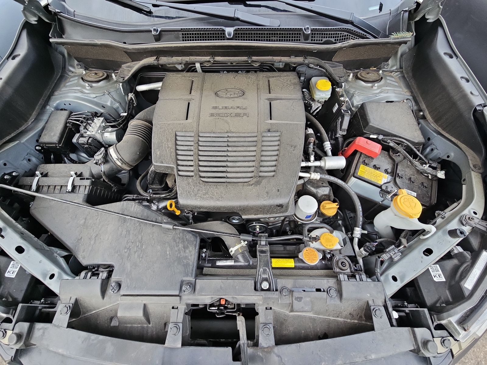 2024 Subaru Forester Wilderness AWD