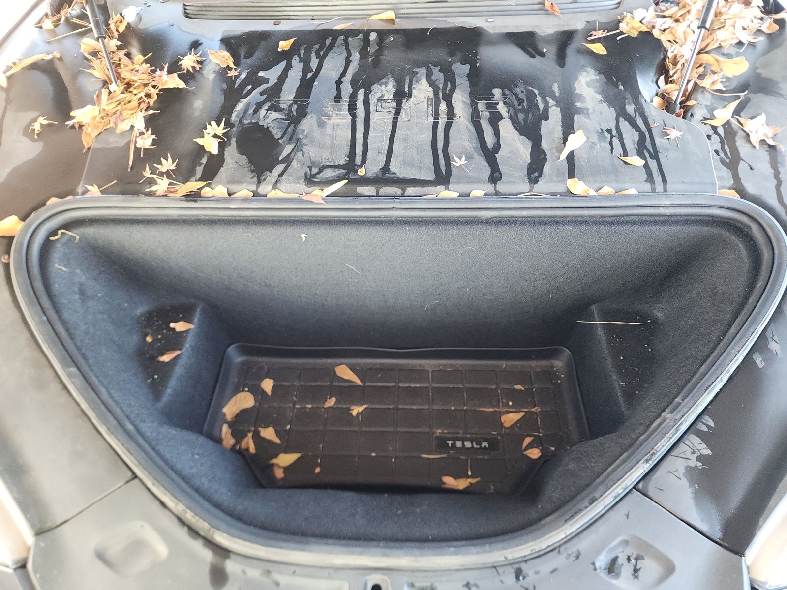 2019 Tesla Model S 100D AWD