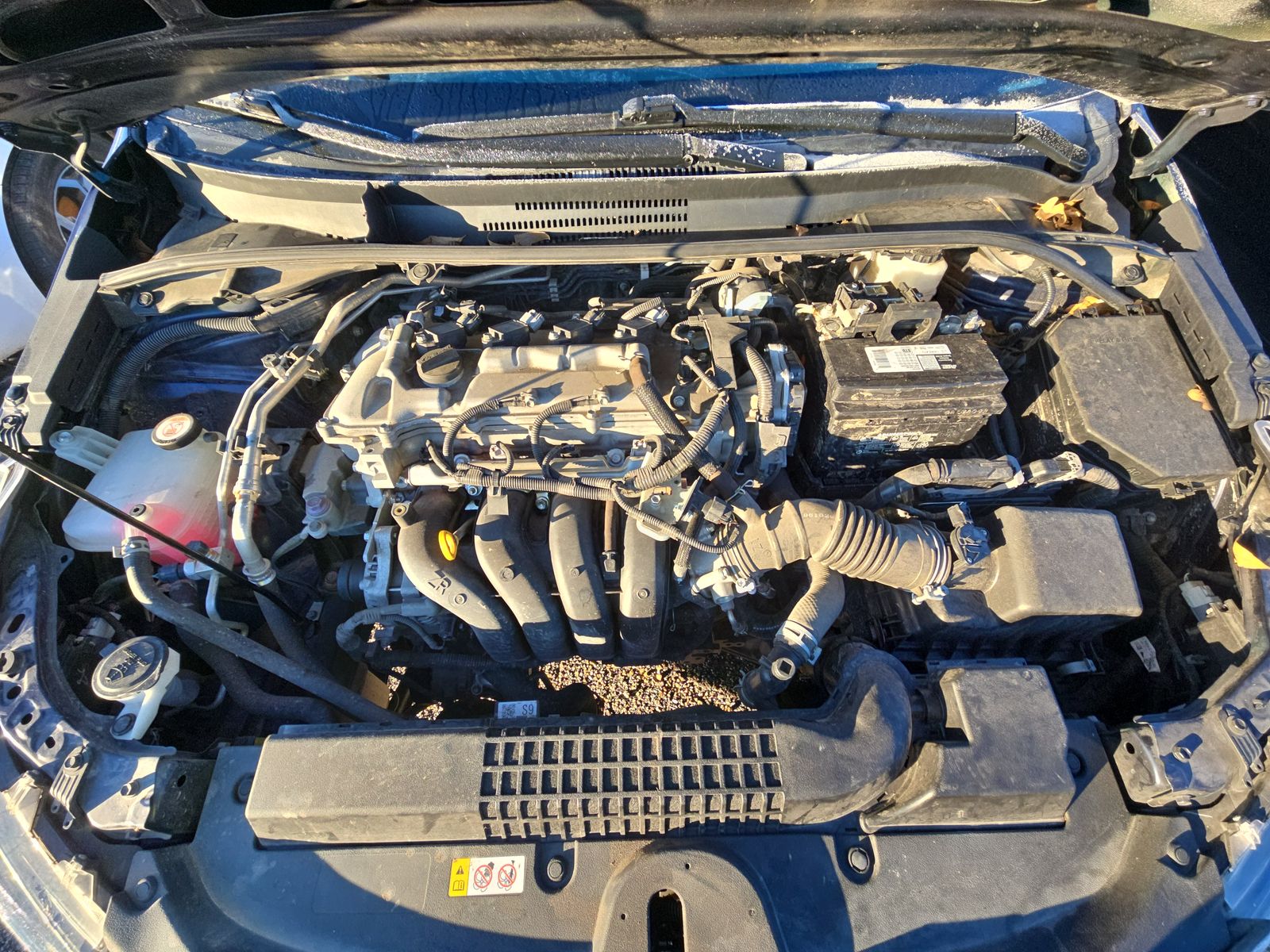 2020 Toyota Corolla LE FWD