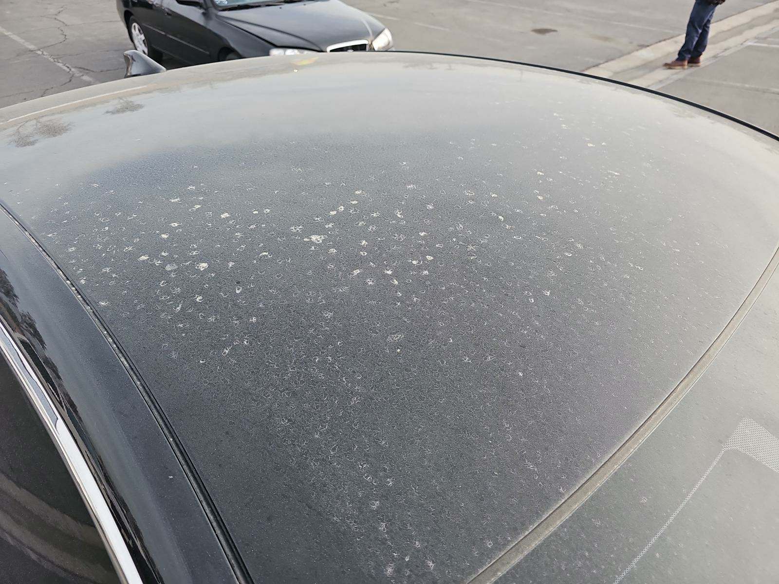 2021 Honda Accord Sport FWD