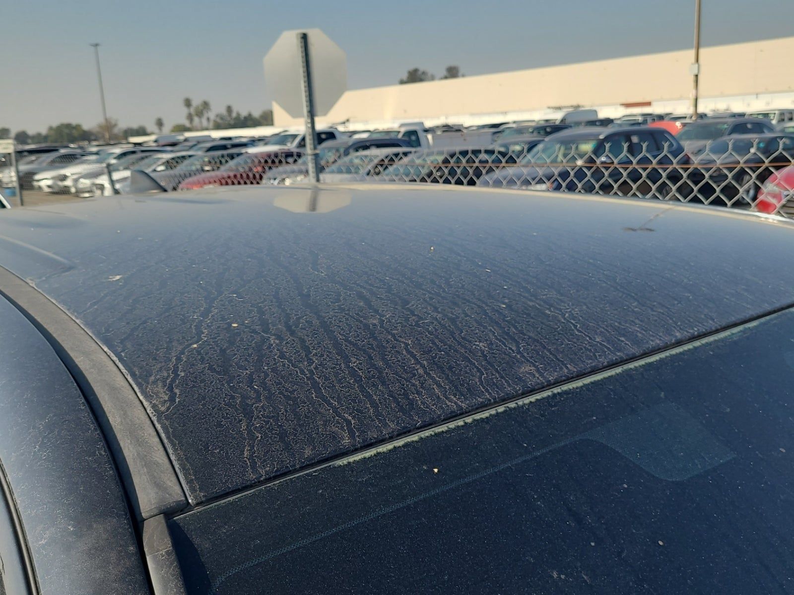 2019 Toyota Tacoma TRD Sport RWD