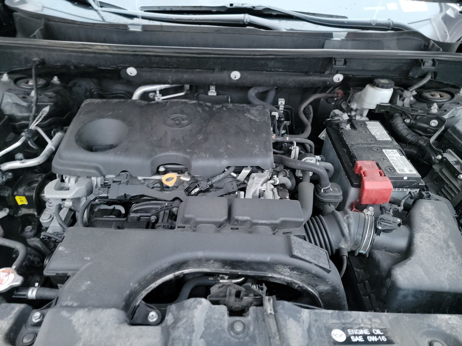 2021 Toyota RAV4 XLE Premium AWD