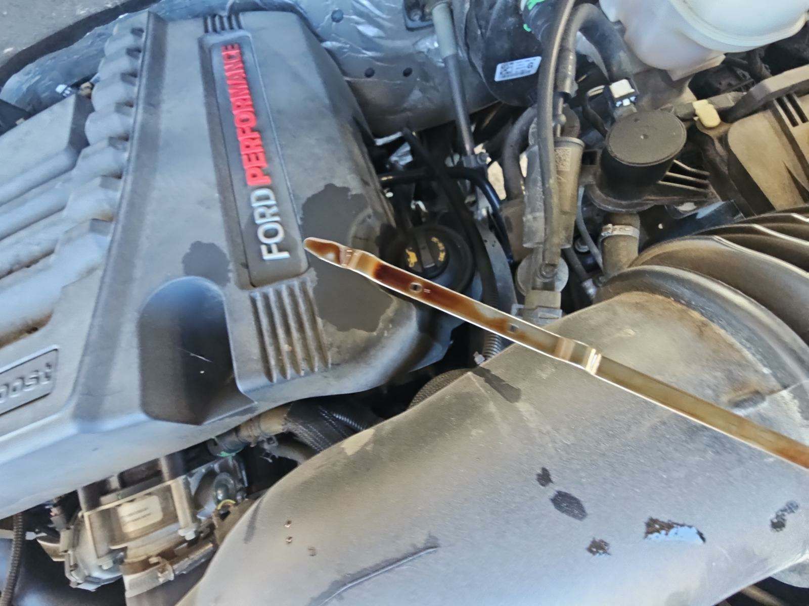 2019 Ford F-150 Raptor AWD