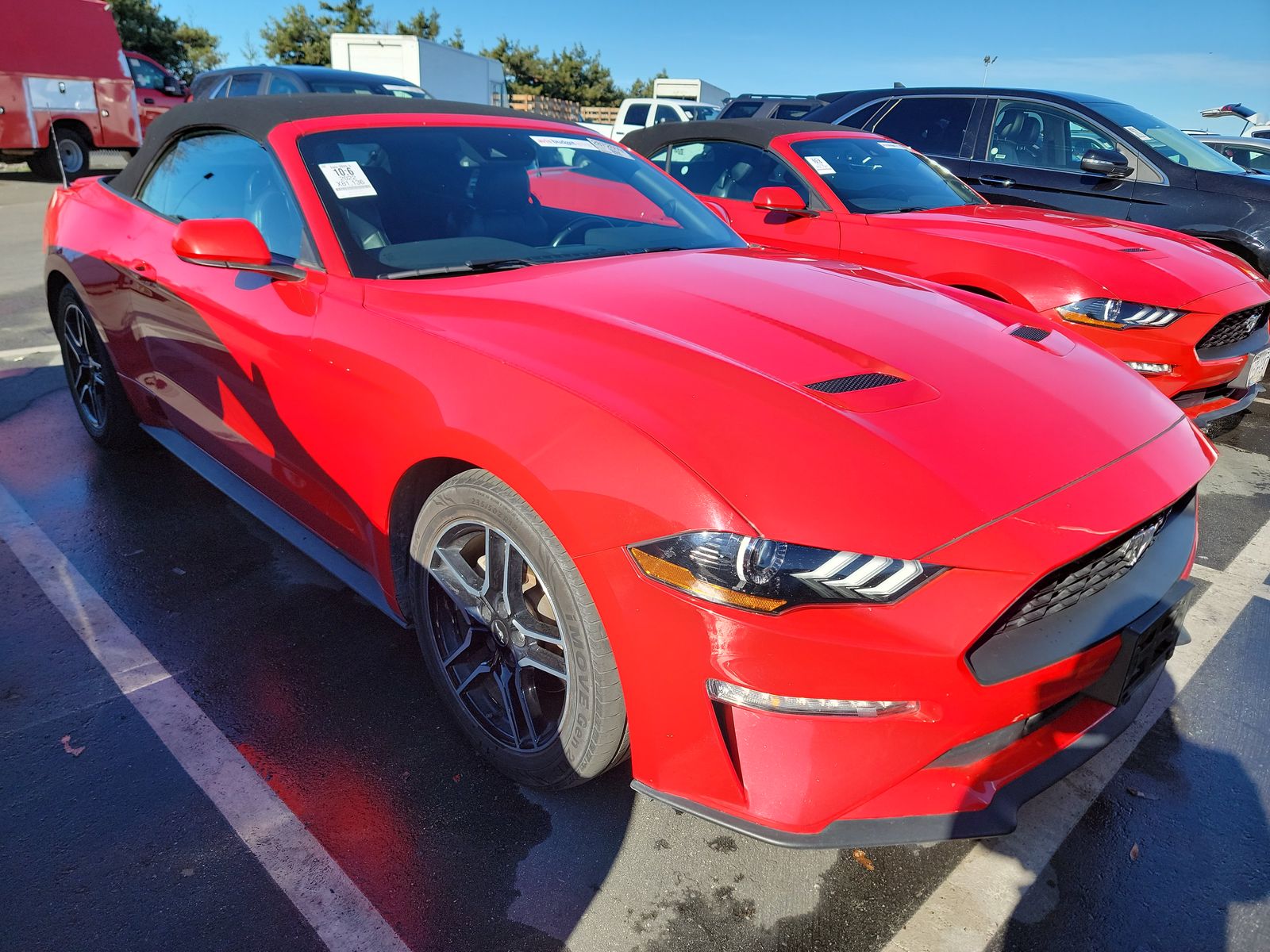 2022 Ford Mustang EcoBoost Premium RWD