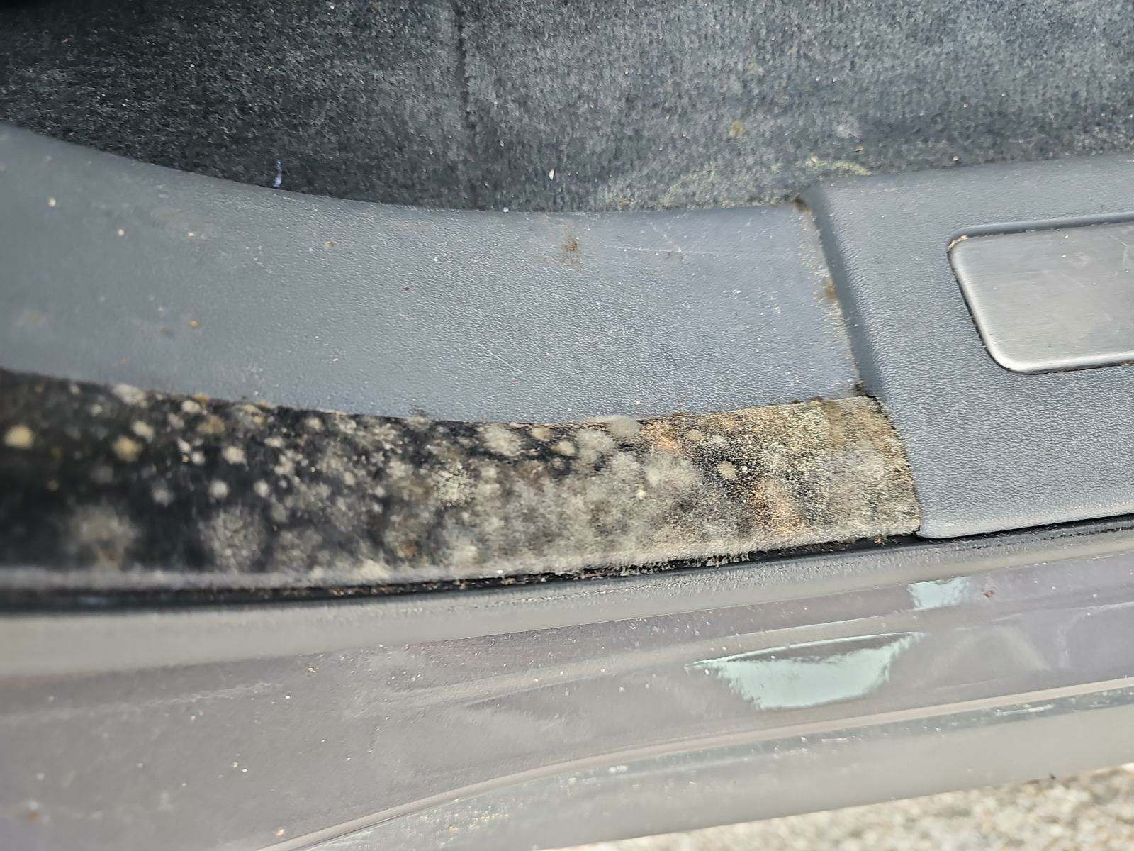 2016 Land Rover Range Rover Evoque HSE AWD