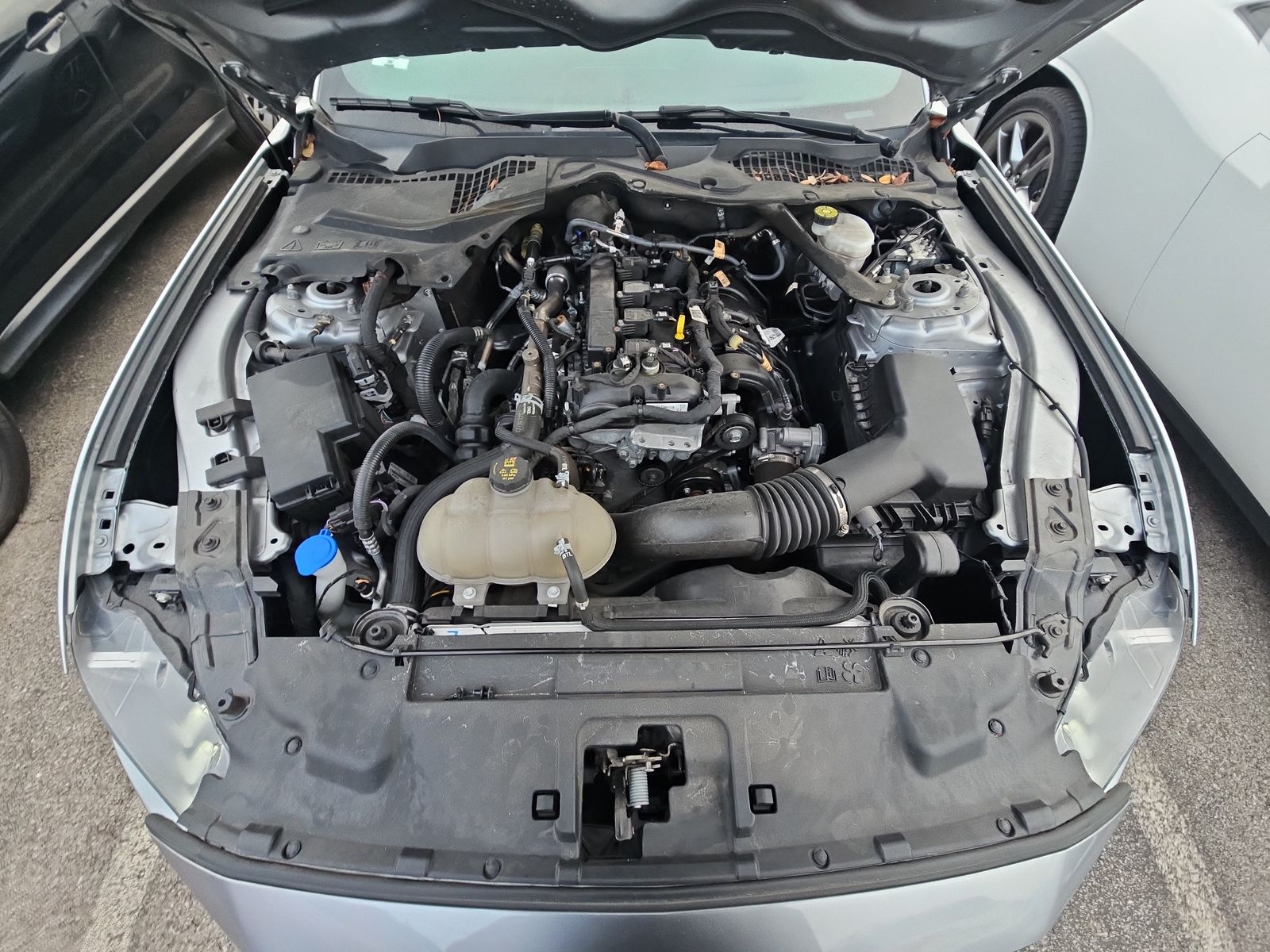 2022 Ford Mustang EcoBoost Premium RWD